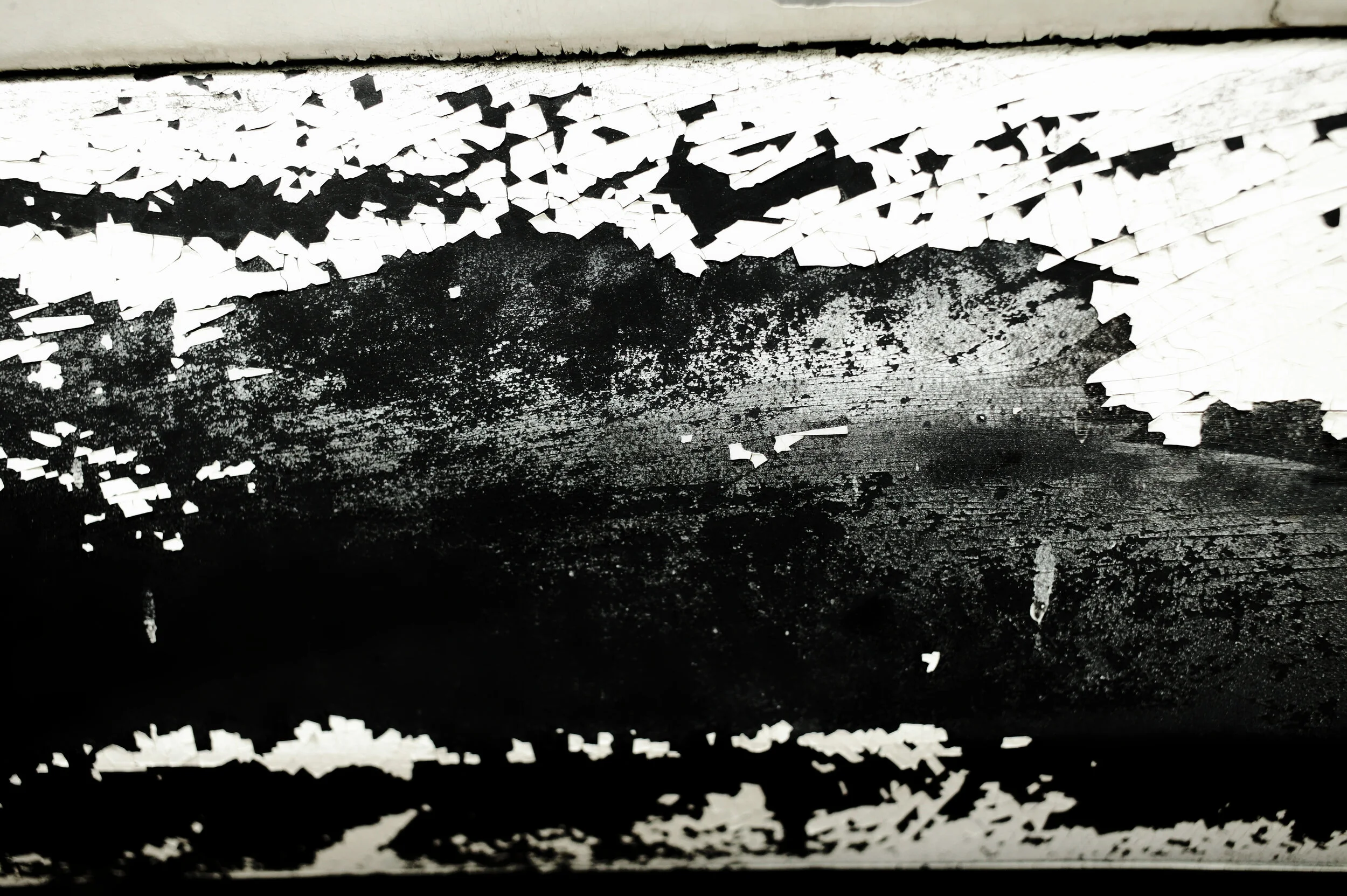 4B2X7481_DxO.jpg