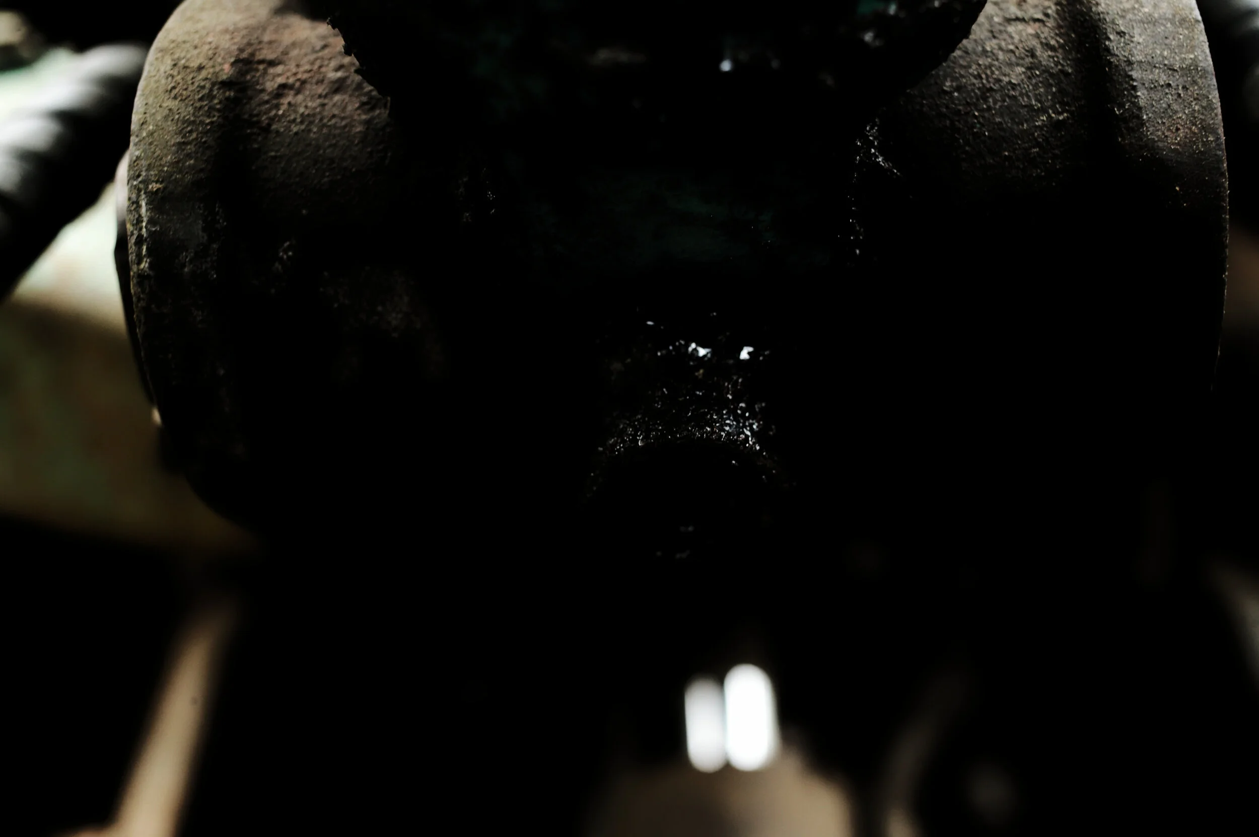 4B2X7558_DxO.jpg
