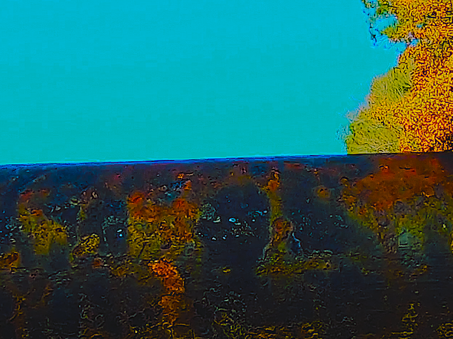 Screen Shot 2019-11-27 at 8.51.13 PM.png