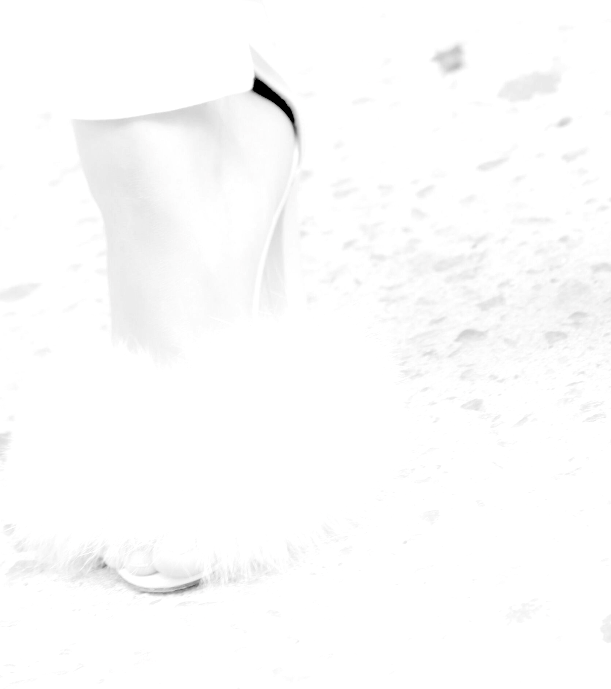 Screen Shot 2019-11-02 at 6.14.23 PM.png