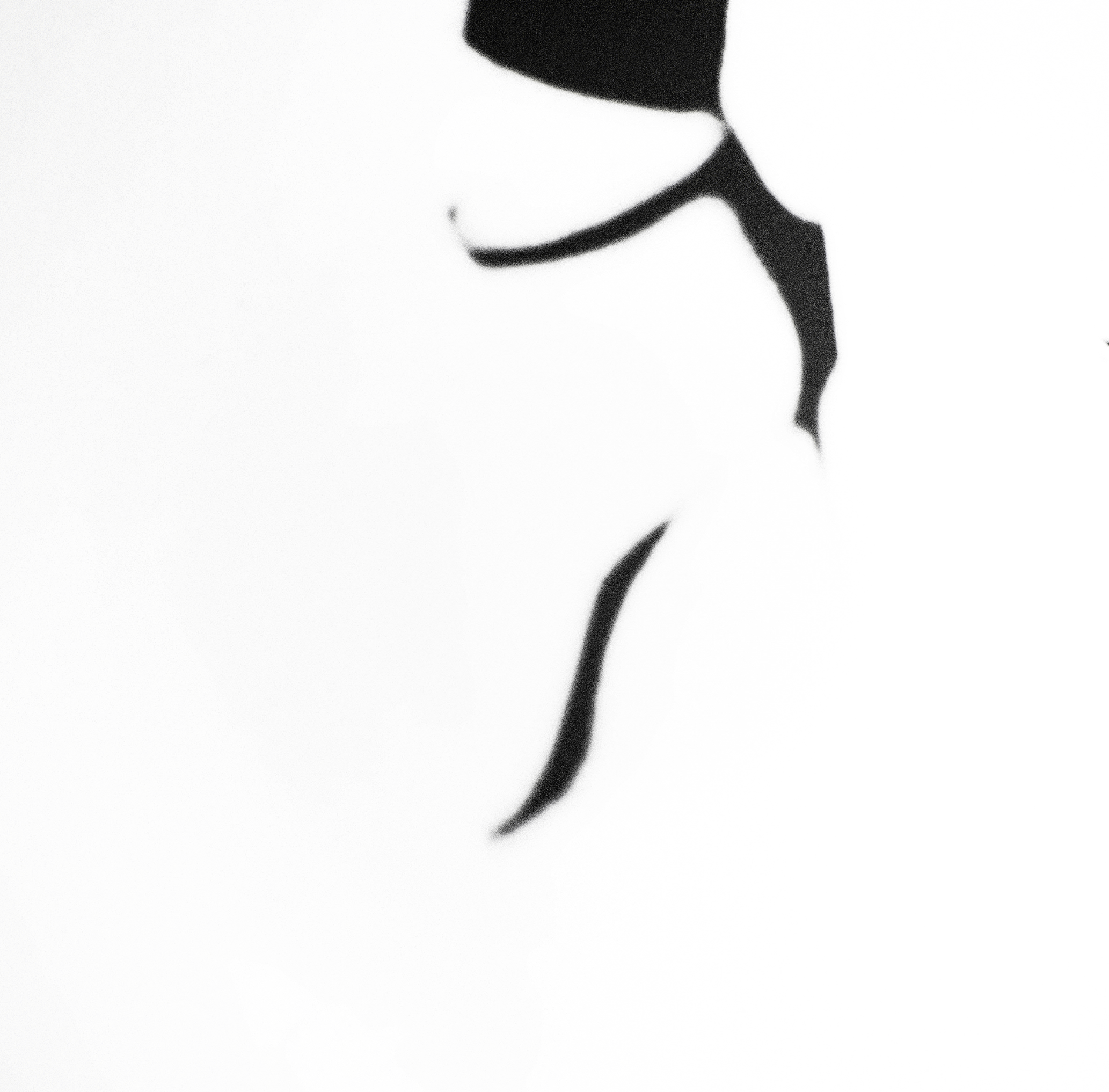 Screen Shot 2019-12-14 at 9.49.59 PM.png