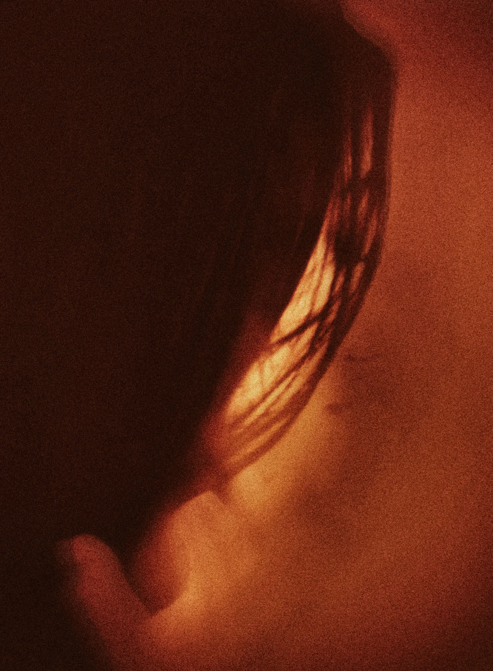 Screen Shot 2021-10-08 at 6.00.05 PM.jpg