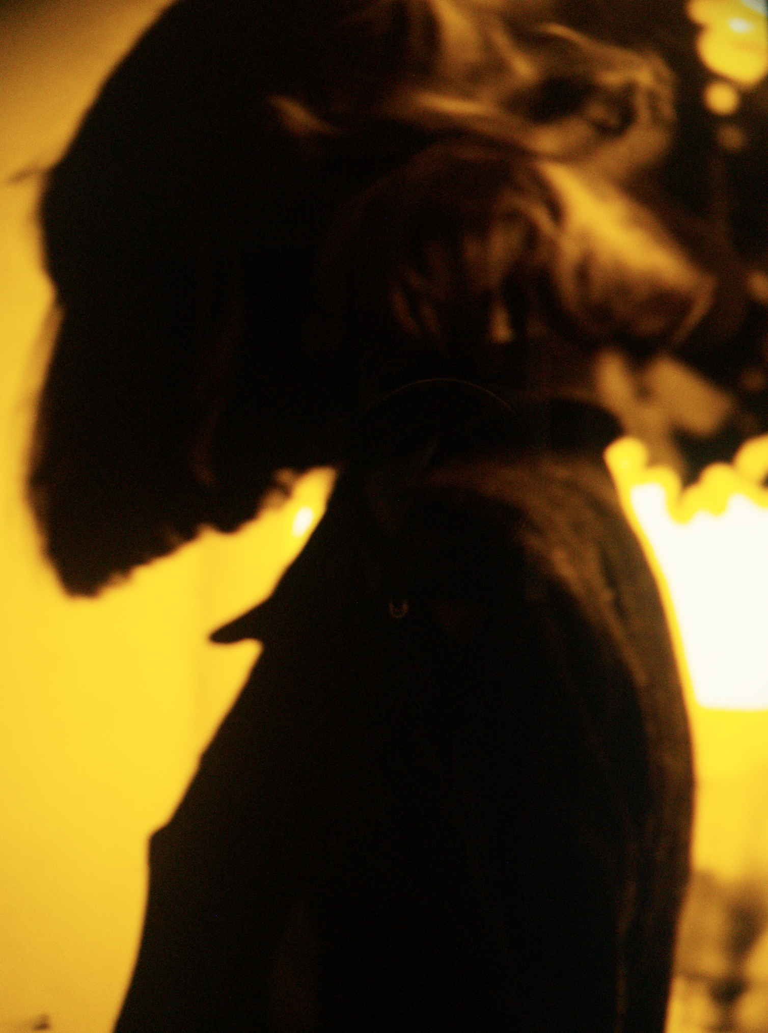 Screen Shot 2022-01-15 at 11.33.37 AM.png