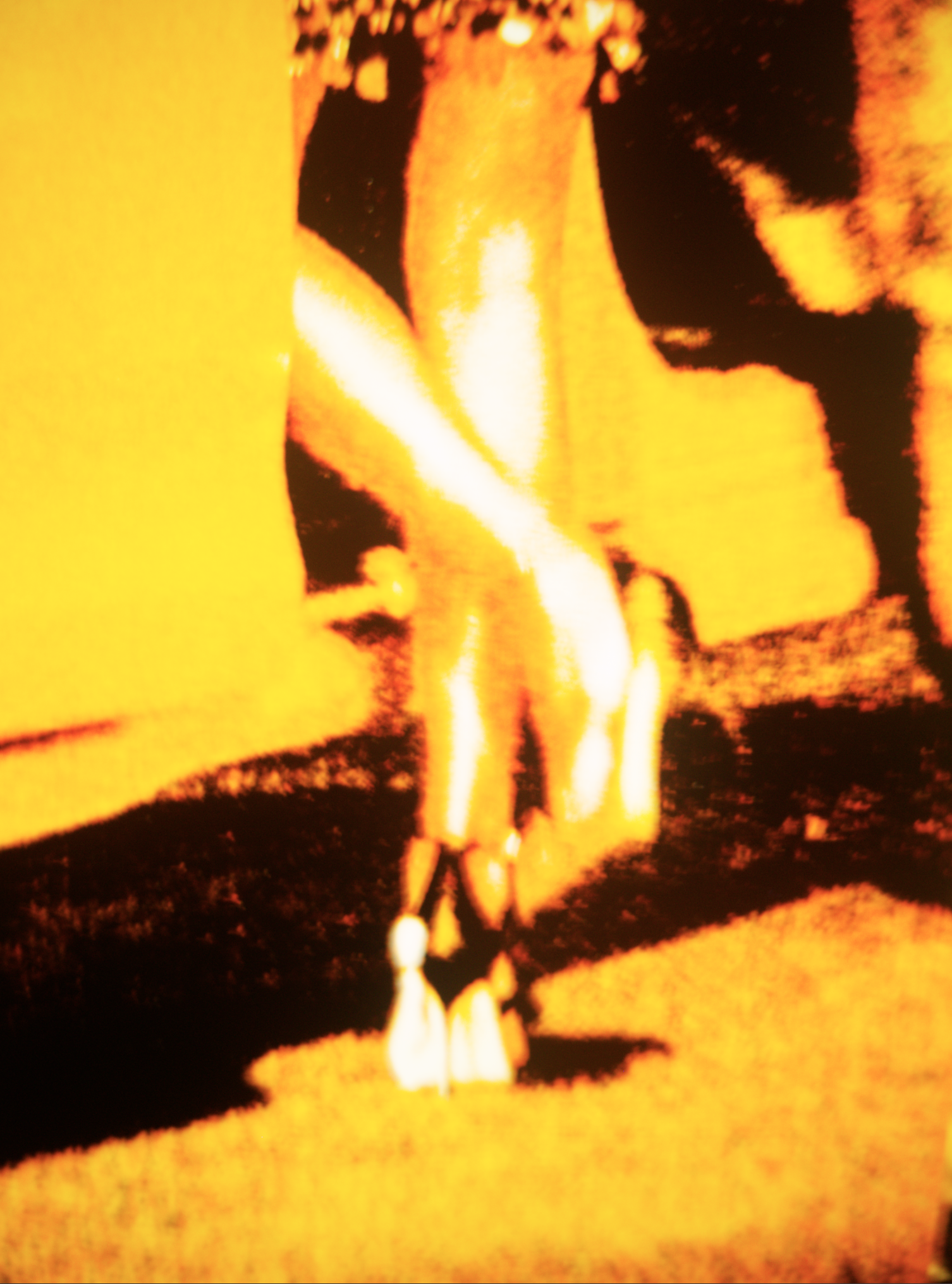 Screen Shot 2022-01-15 at 11.46.40 AM.png