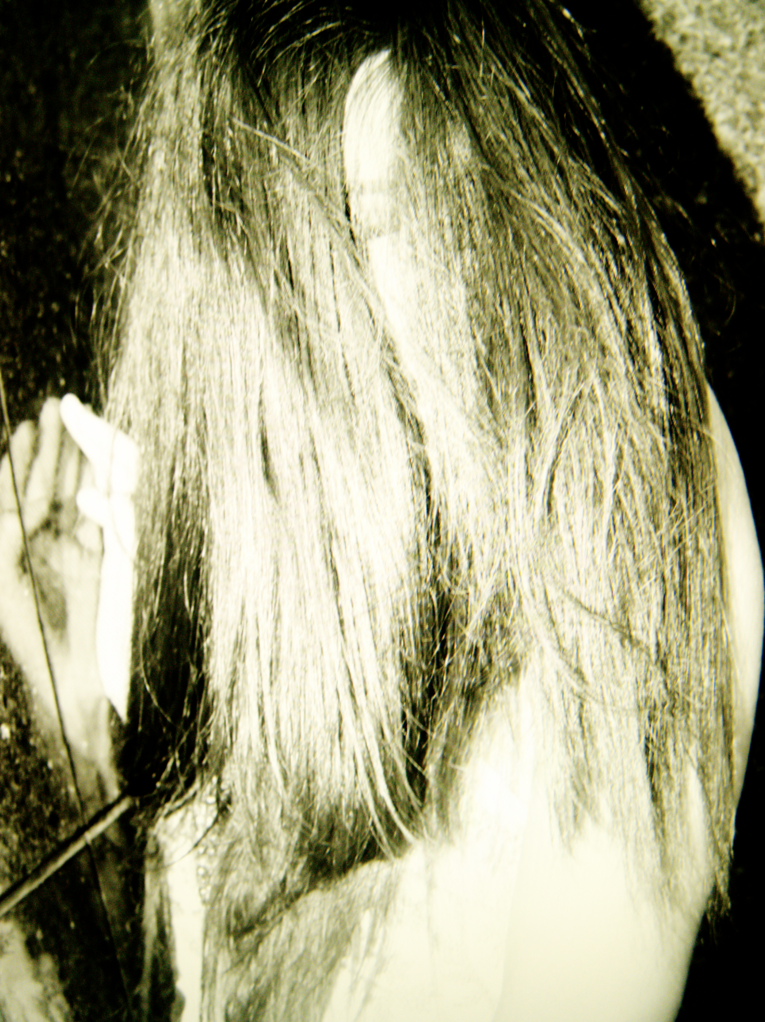 Screen Shot 2022-01-15 at 11.53.33 AM.png