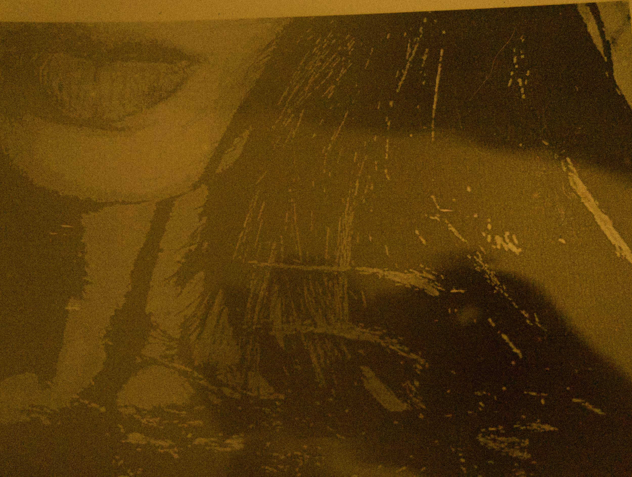 Screen Shot 2022-02-14 at 1.03.23 PM.png