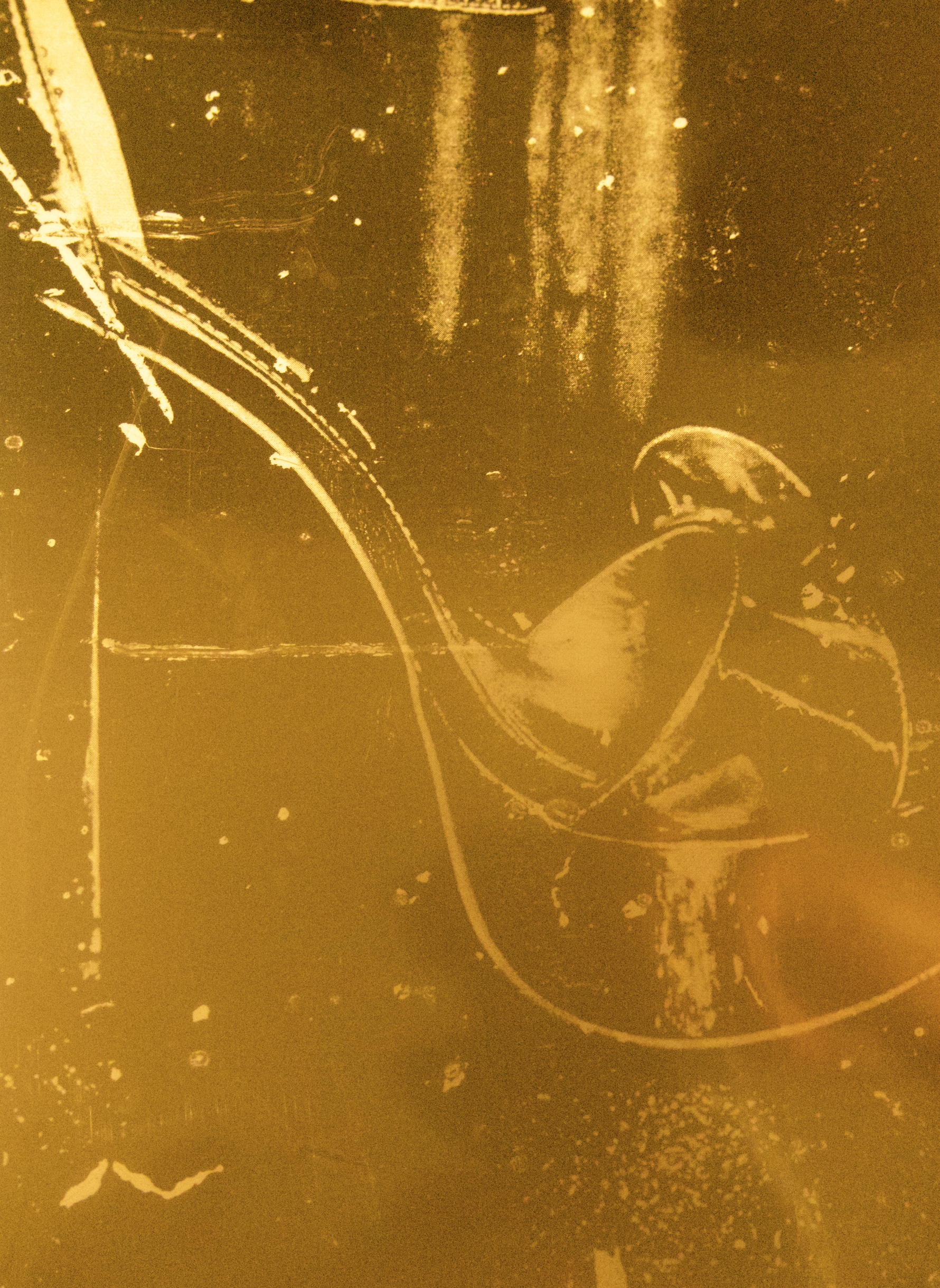 Screen Shot 2022-02-14 at 12.59.14 PM.png