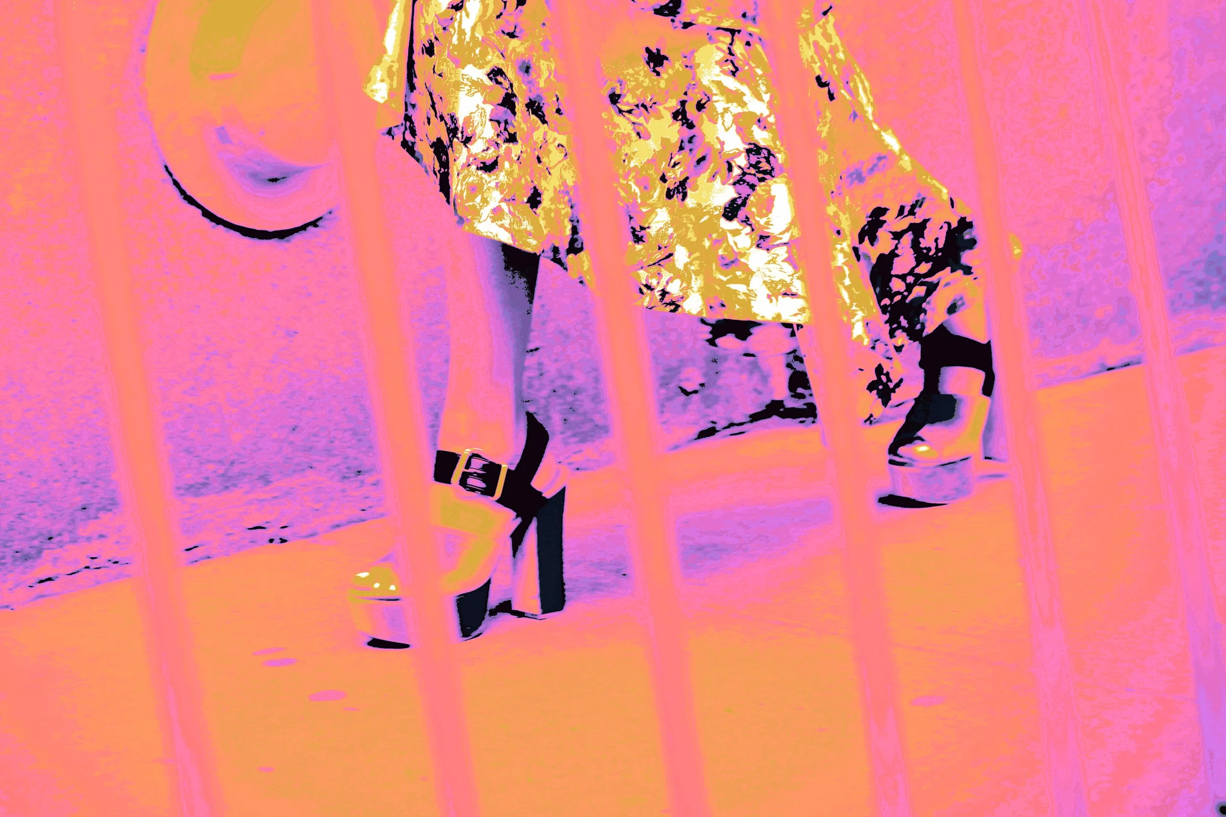 81_DxO.jpg