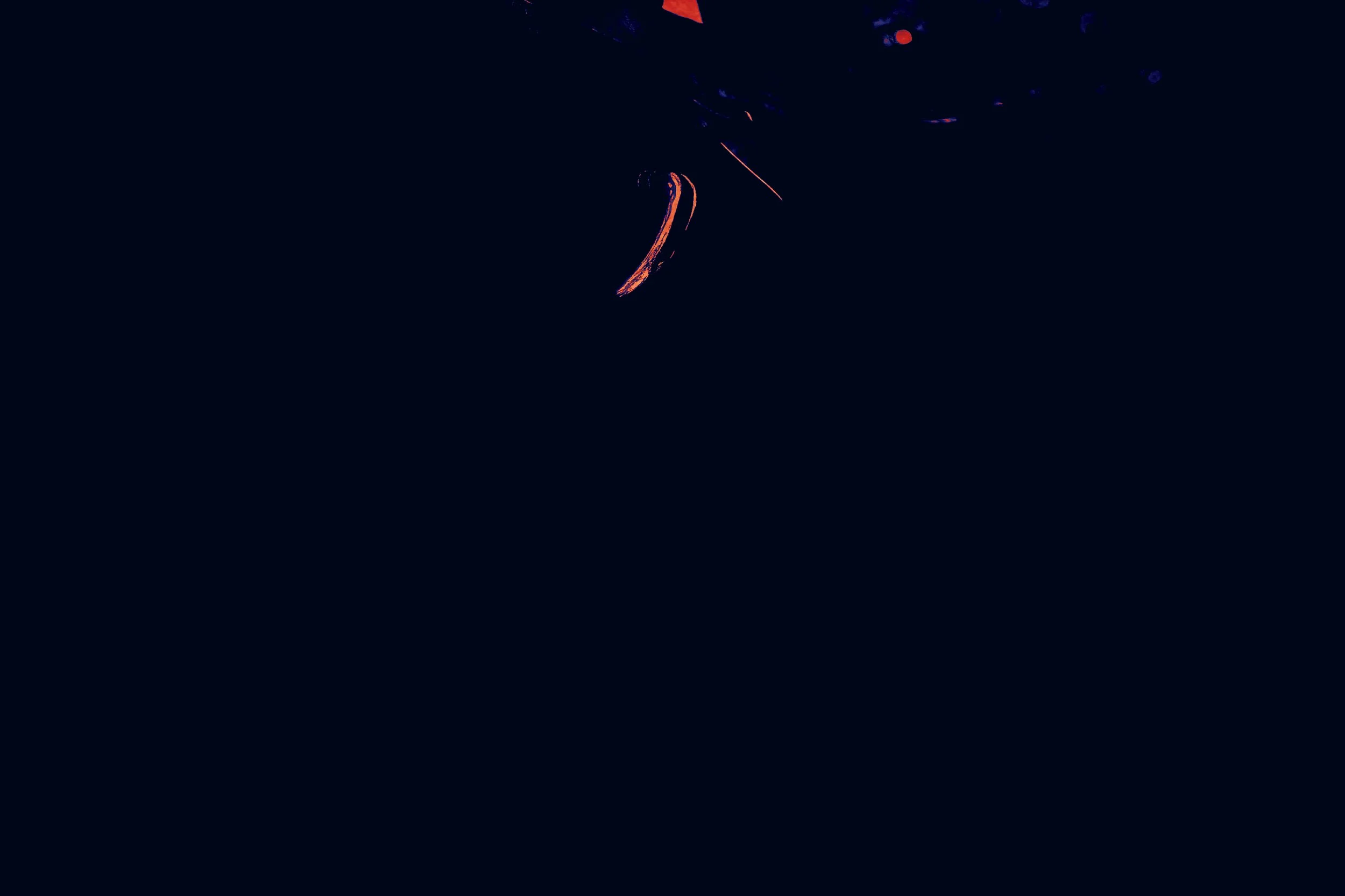 _P_10167_DxO1_DxO1_DxO.jpg