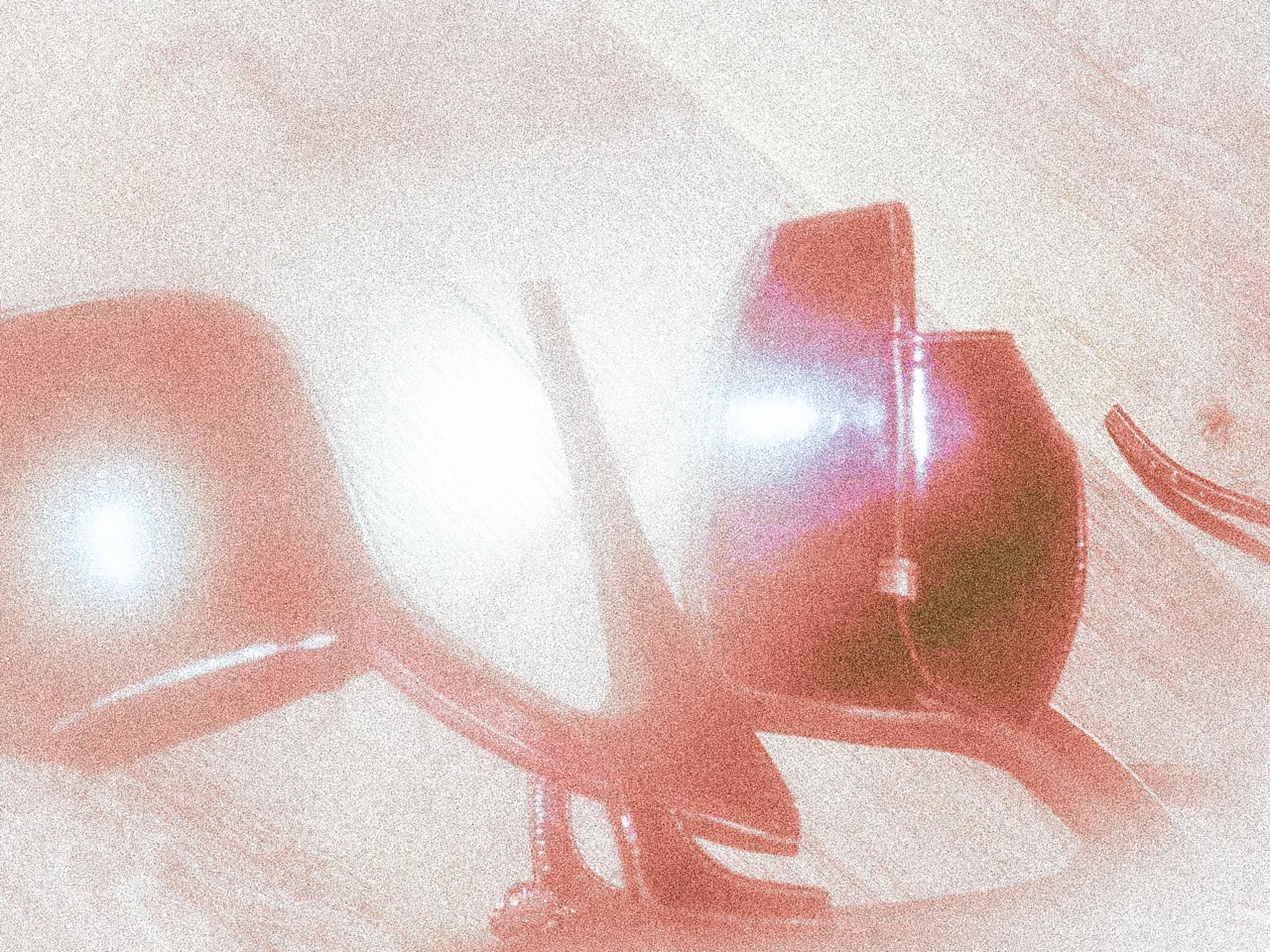 P1010009.jpg
