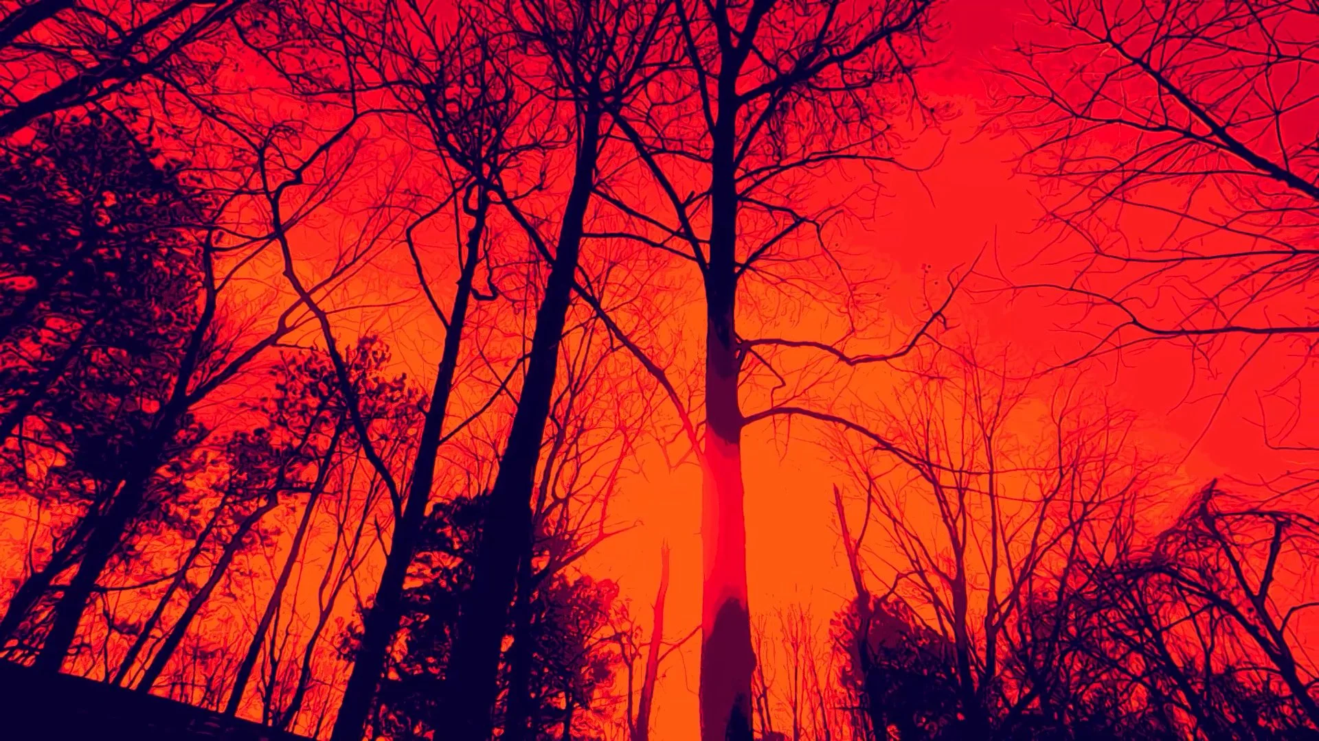 wlheel heel 2.00_01_30_25.Still030.jpg