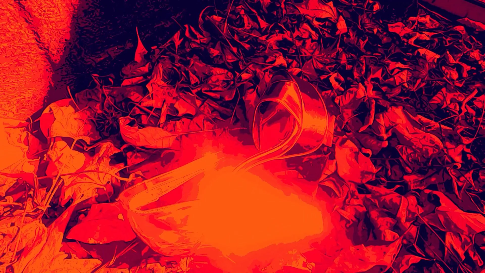 wlheel heel 2.00_01_49_37.Still034.jpg