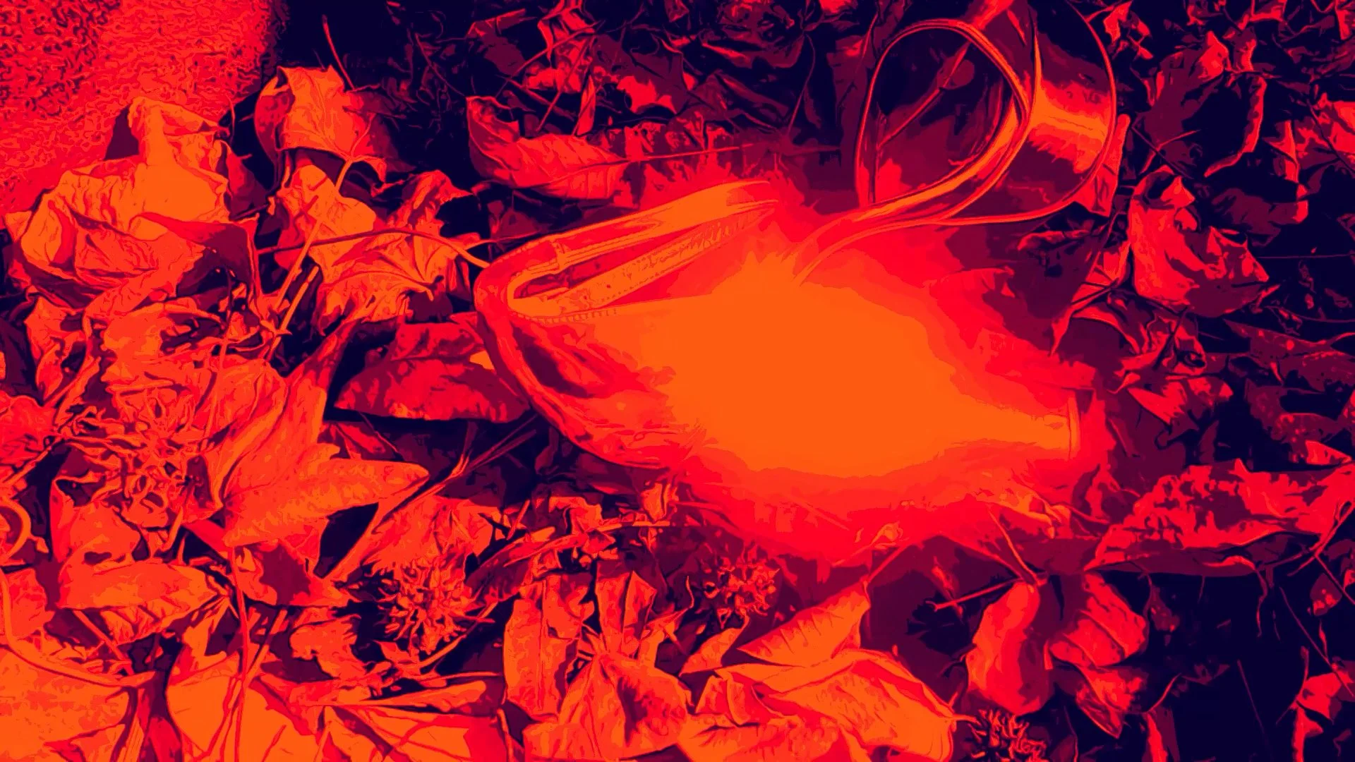 wlheel heel 2.00_01_56_23.Still036.jpg