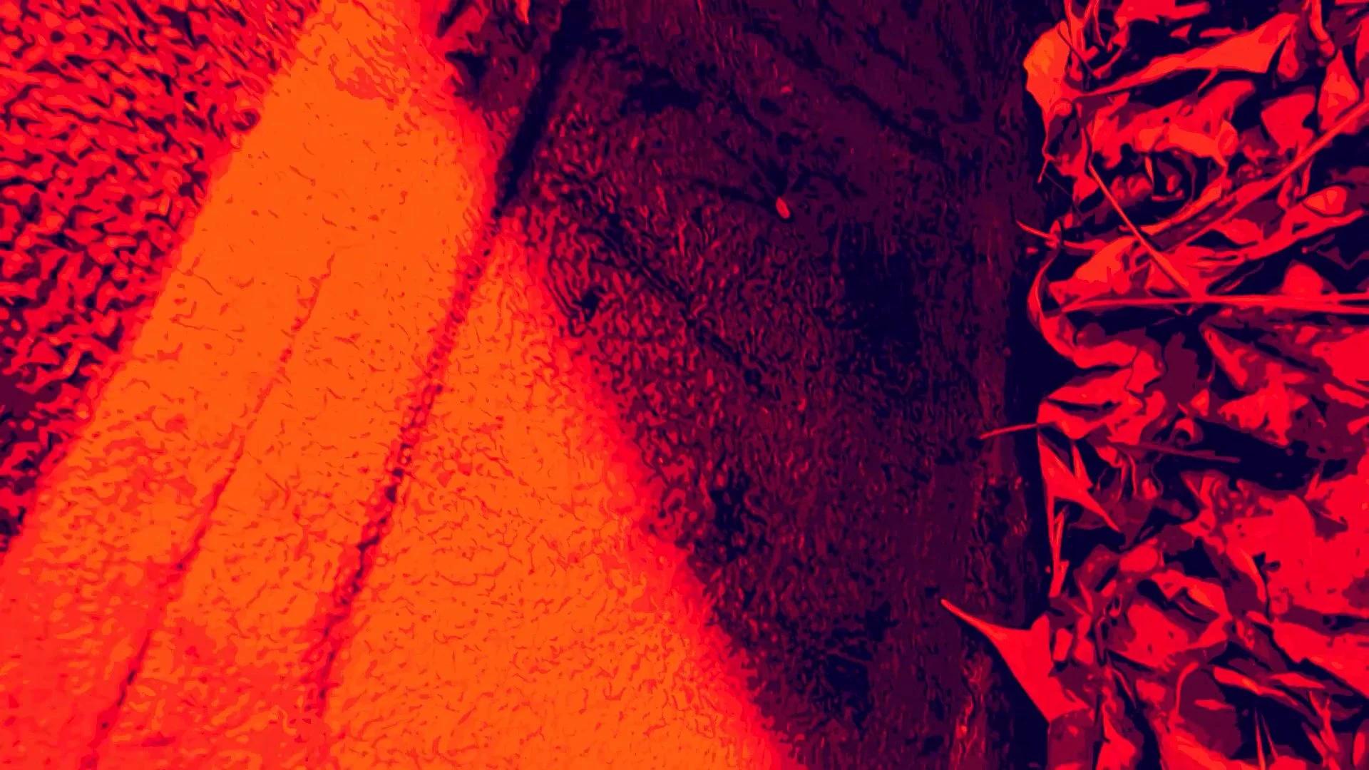 wlheel heel 2.00_02_02_38.Still037.jpg