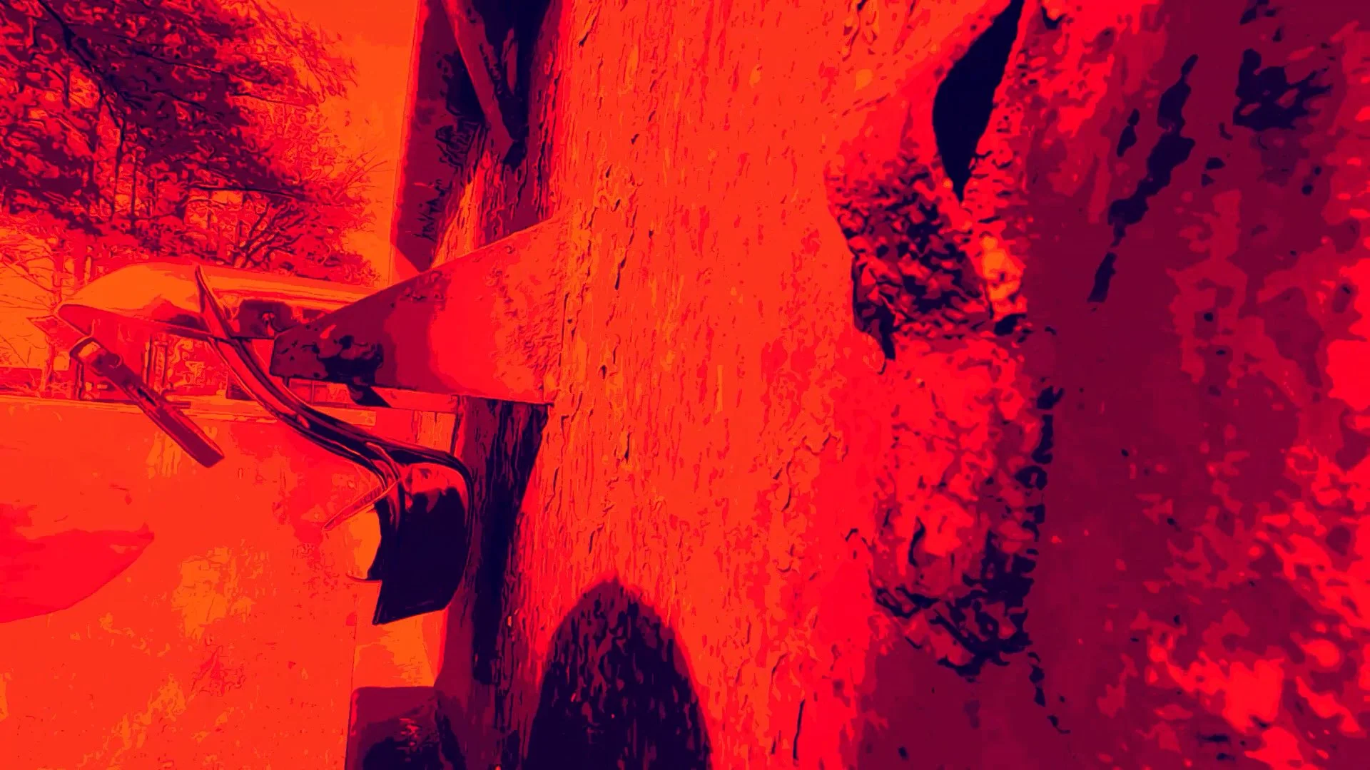 wlheel heel 2.00_02_09_59.Still043.jpg