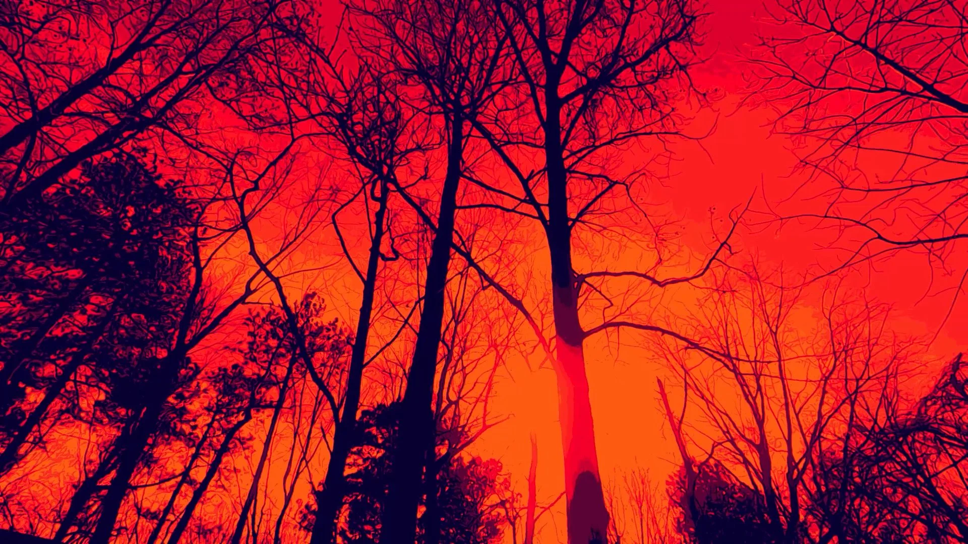 wlheel heel 2.00_01_29_16.Still029.jpg