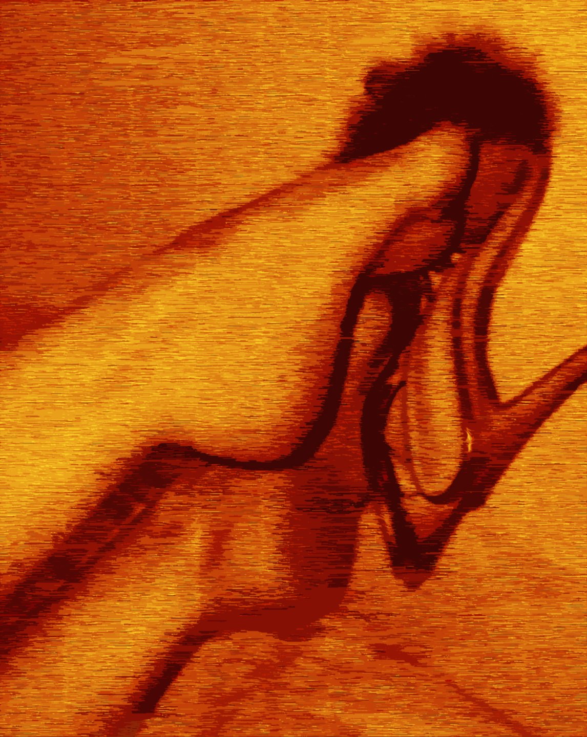 Screenshot 2026-03-08 065439.jpg