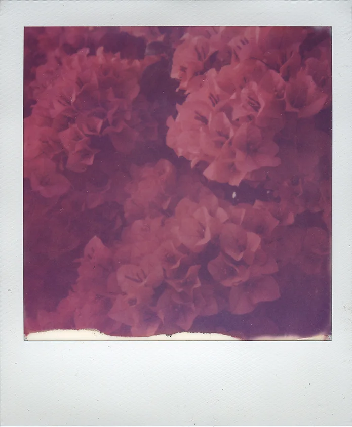 ExpiredColor011.jpg