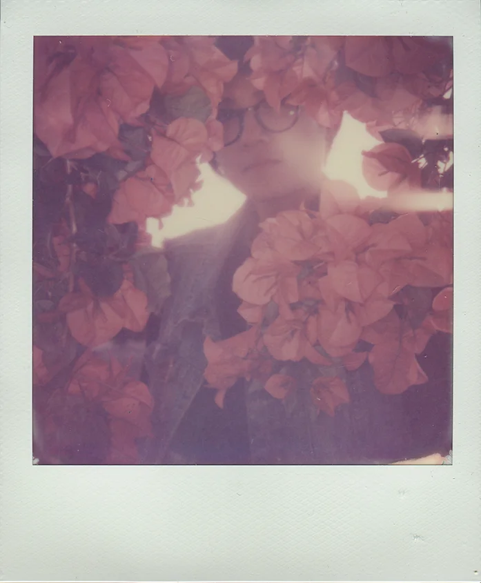 ExpiredColor012.jpg