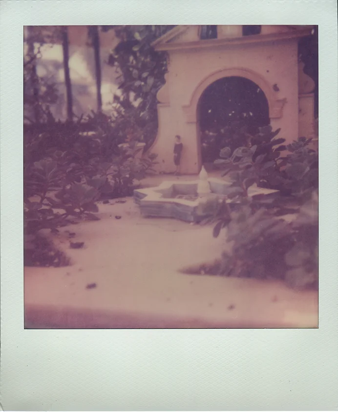ExpiredColor001.jpg