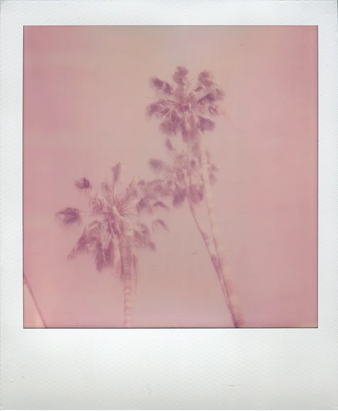 ExpiredColor002.jpg
