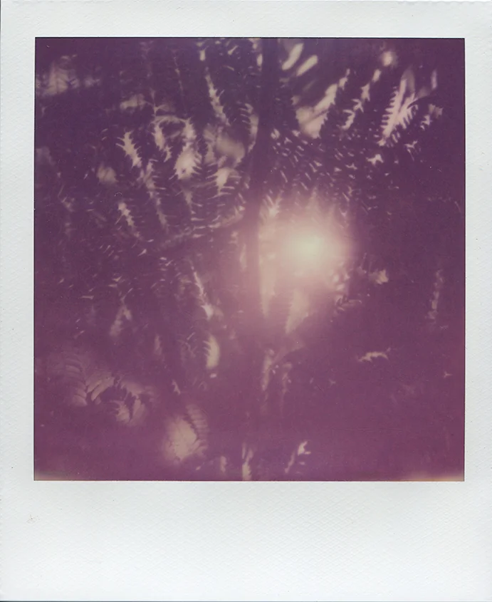 ExpiredColor003.jpg
