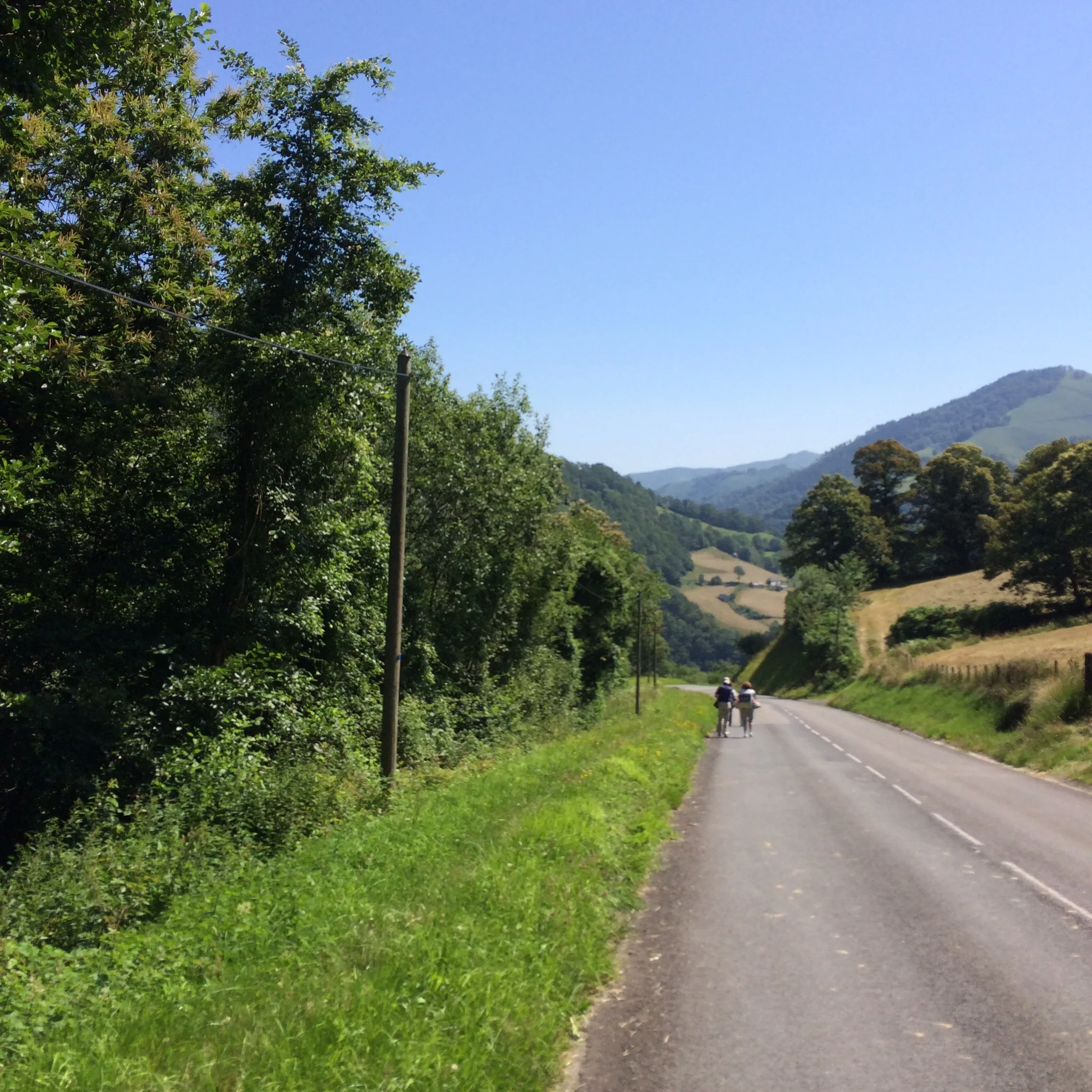 This is a picture of the "pilgrims" walking in front of me. We are actually going away from Santiago here but this three mile walk deepened even further my appreciation for those who made the journey from Le Puy to Santiago. Remember, it took the first pilgrims a year to make the journey.