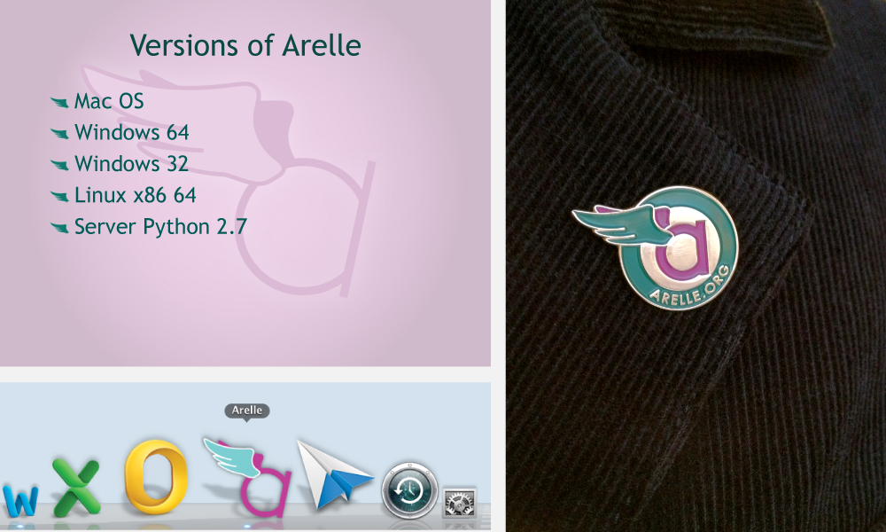 arelle-ppt-pin-app2.jpg