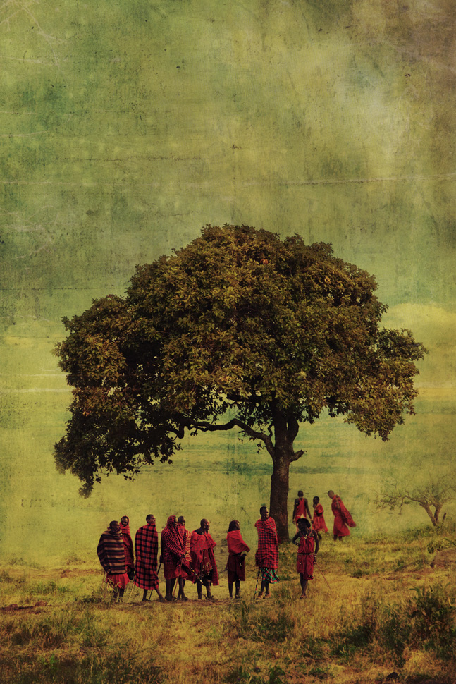 tree masai1san.jpg