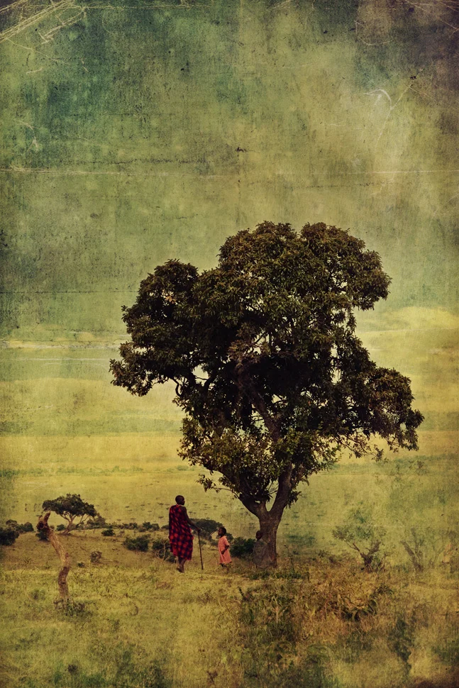 tree masai2san.jpg
