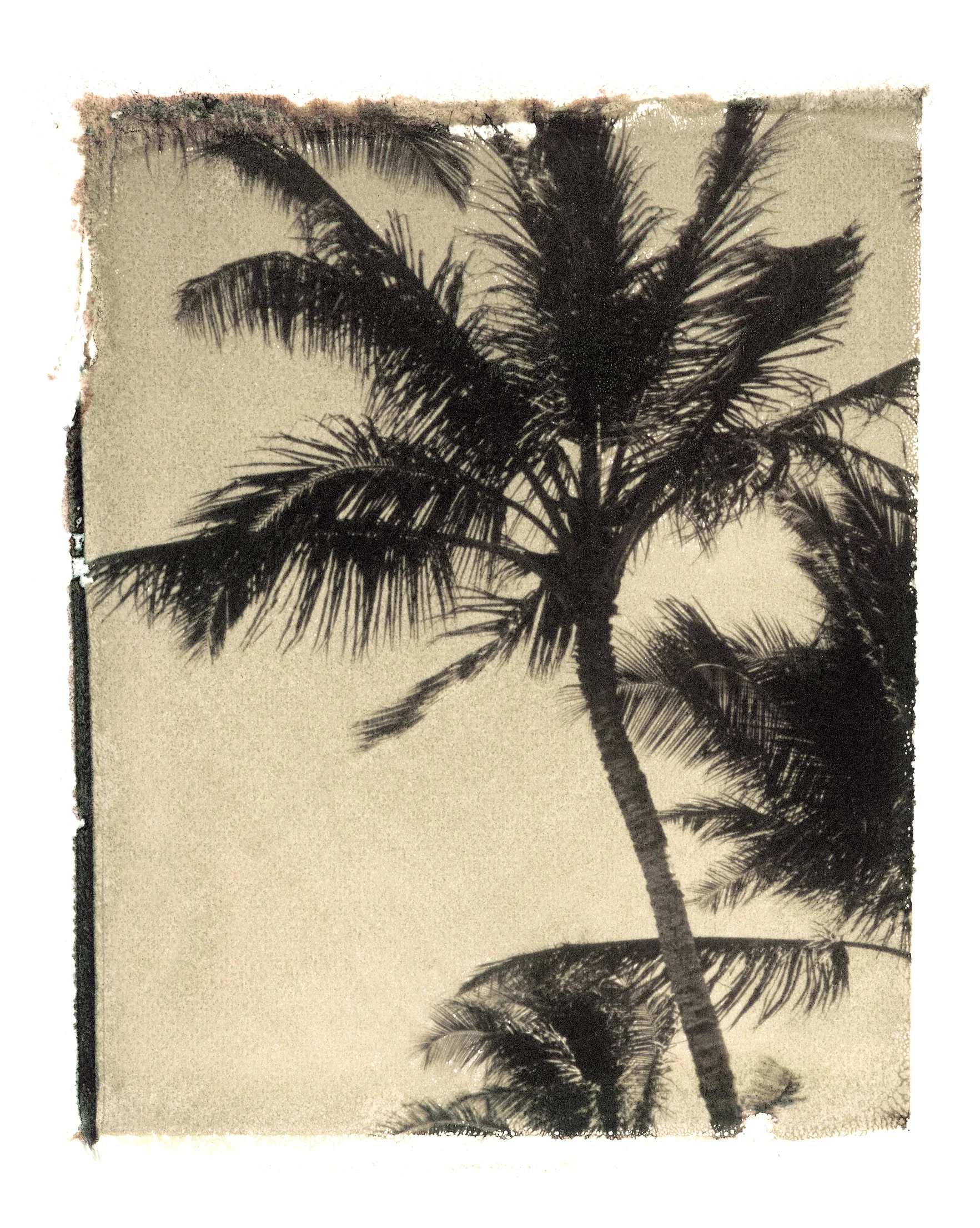 gallery show - 47.jpg