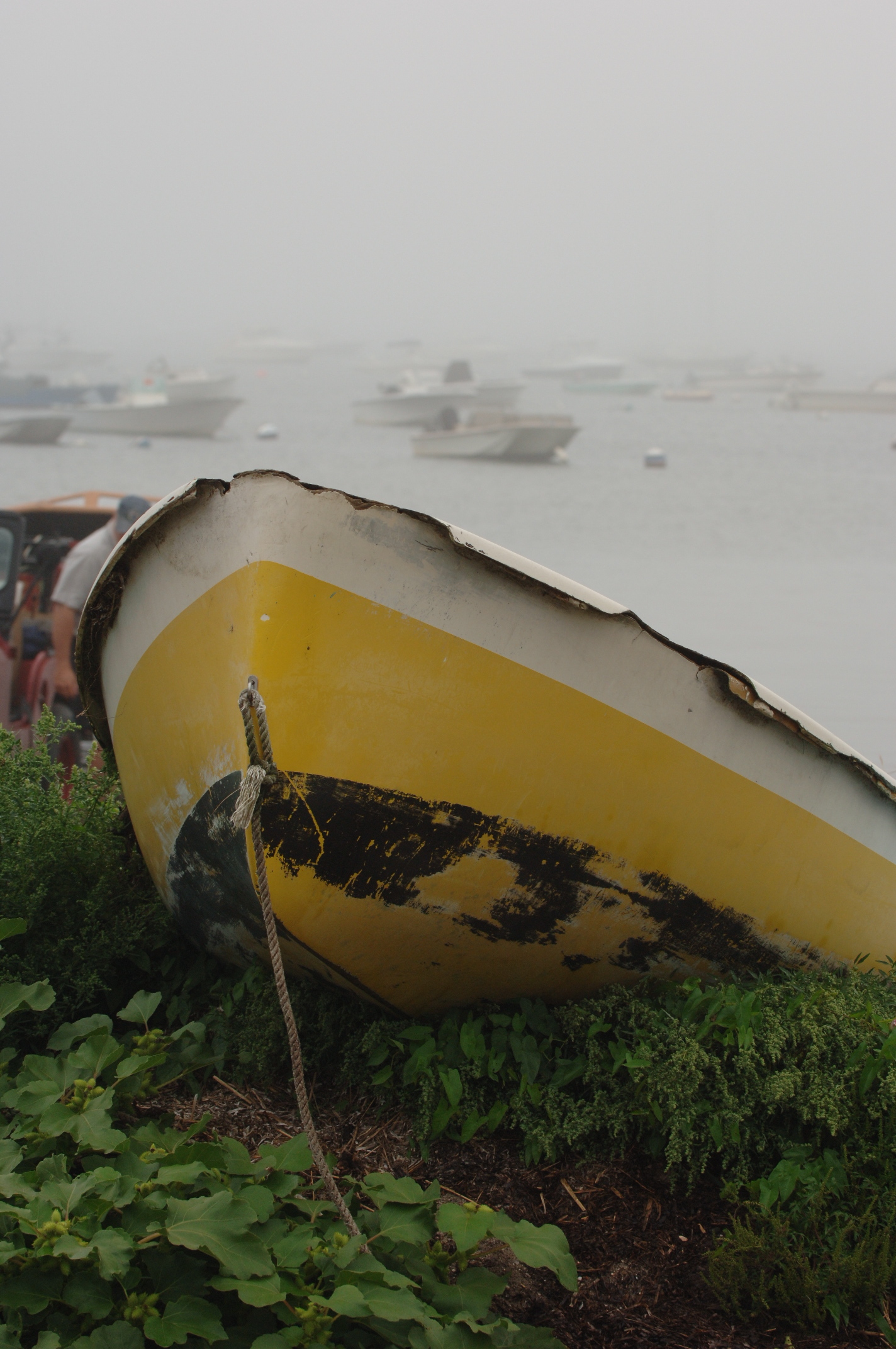 <untitled>  5984.JPG