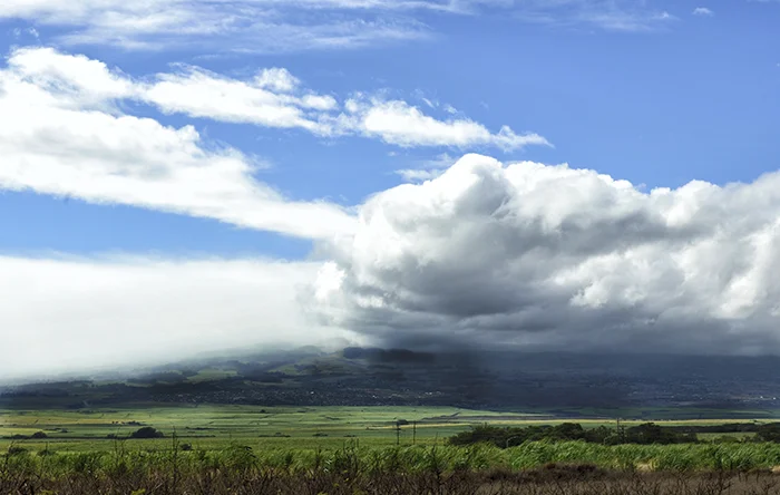 maui airport view.jpg
