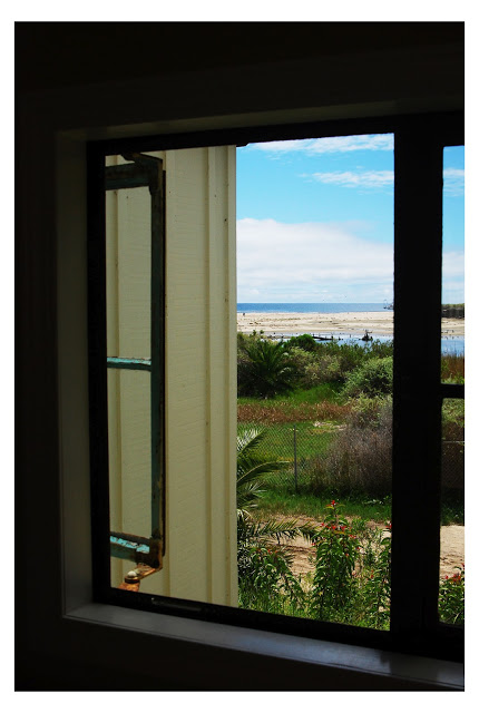 Window.jpg