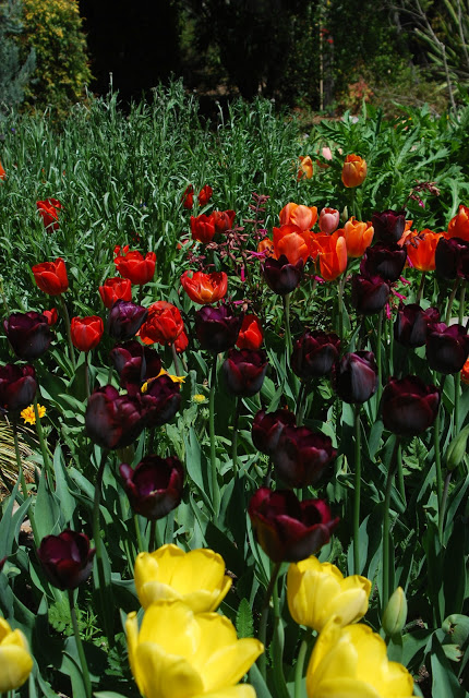 DSC_0027.jpg