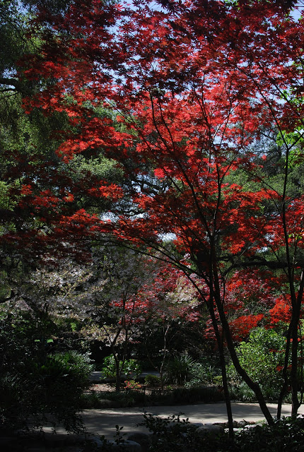 DSC_0089.jpg
