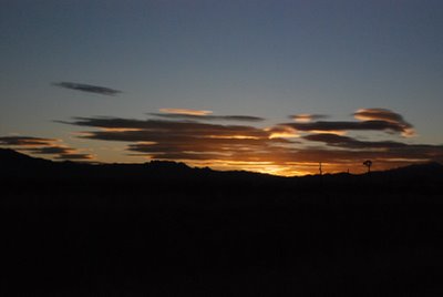 DSC_0217.JPG