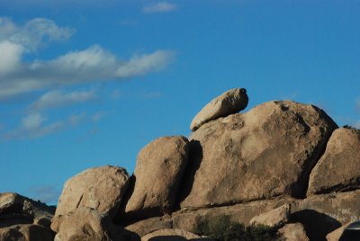 DSC_0209.JPG