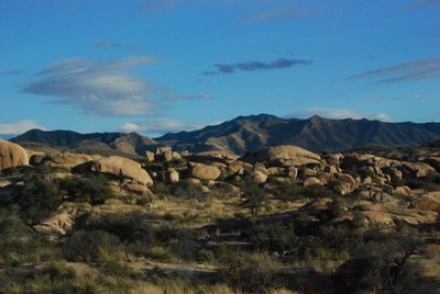 DSC_0208.JPG