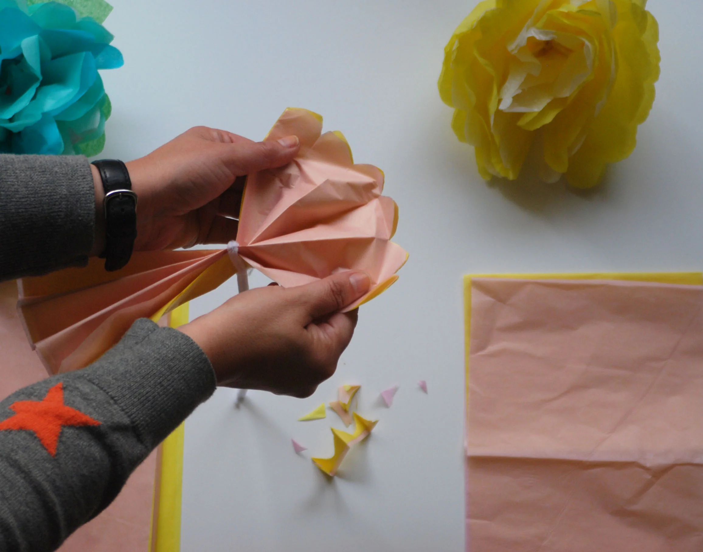 Tissue Paper Fanning.jpg