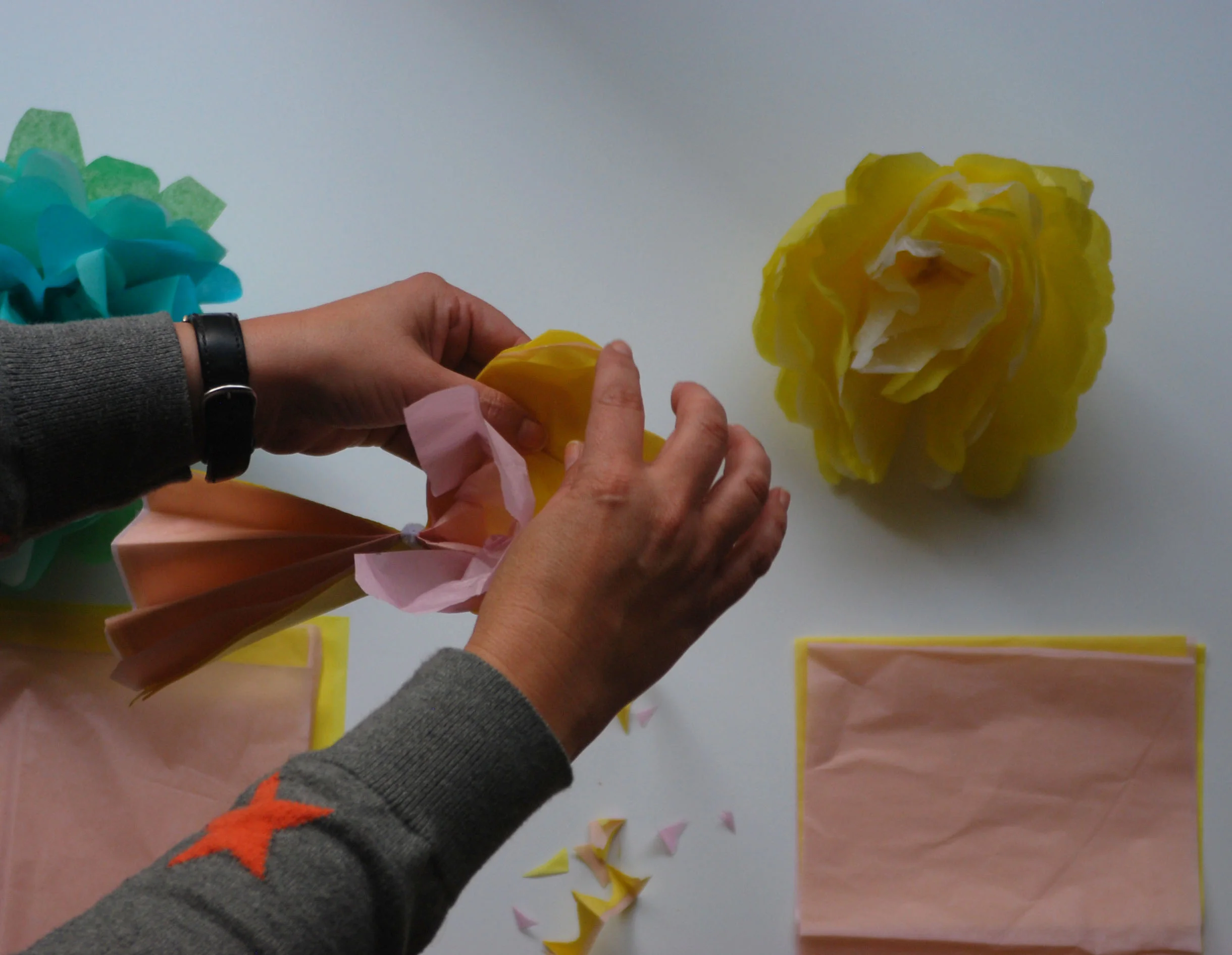 Tissue Paper Pull Apart.jpg