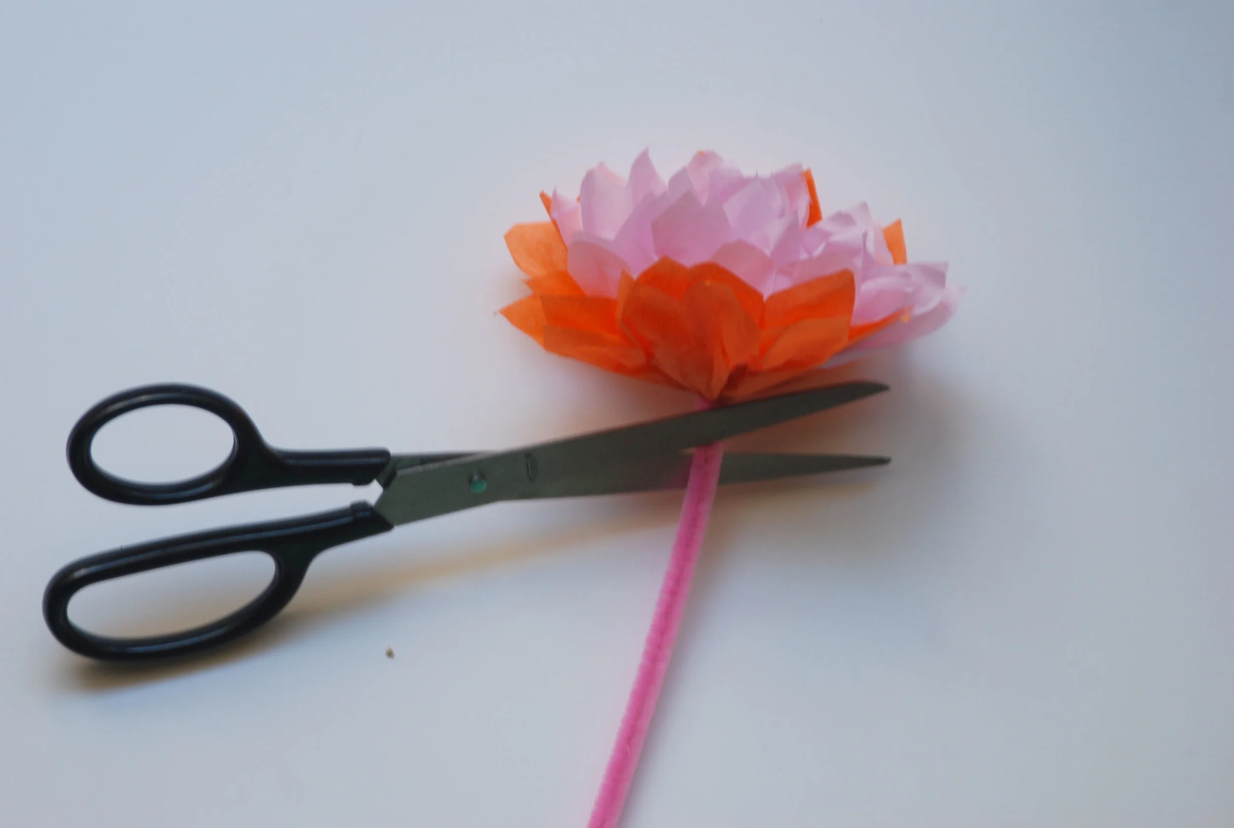 Tissue Paper Piping Cut.jpg