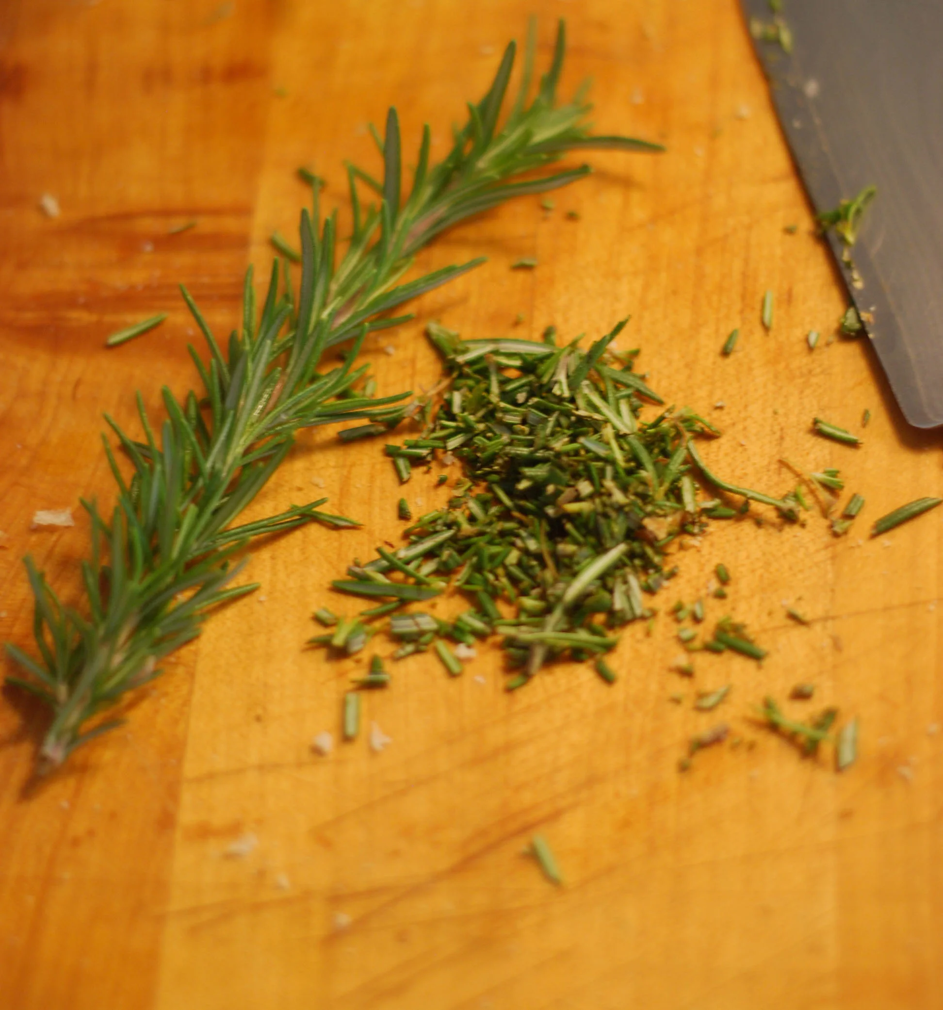 Rosemary.jpg