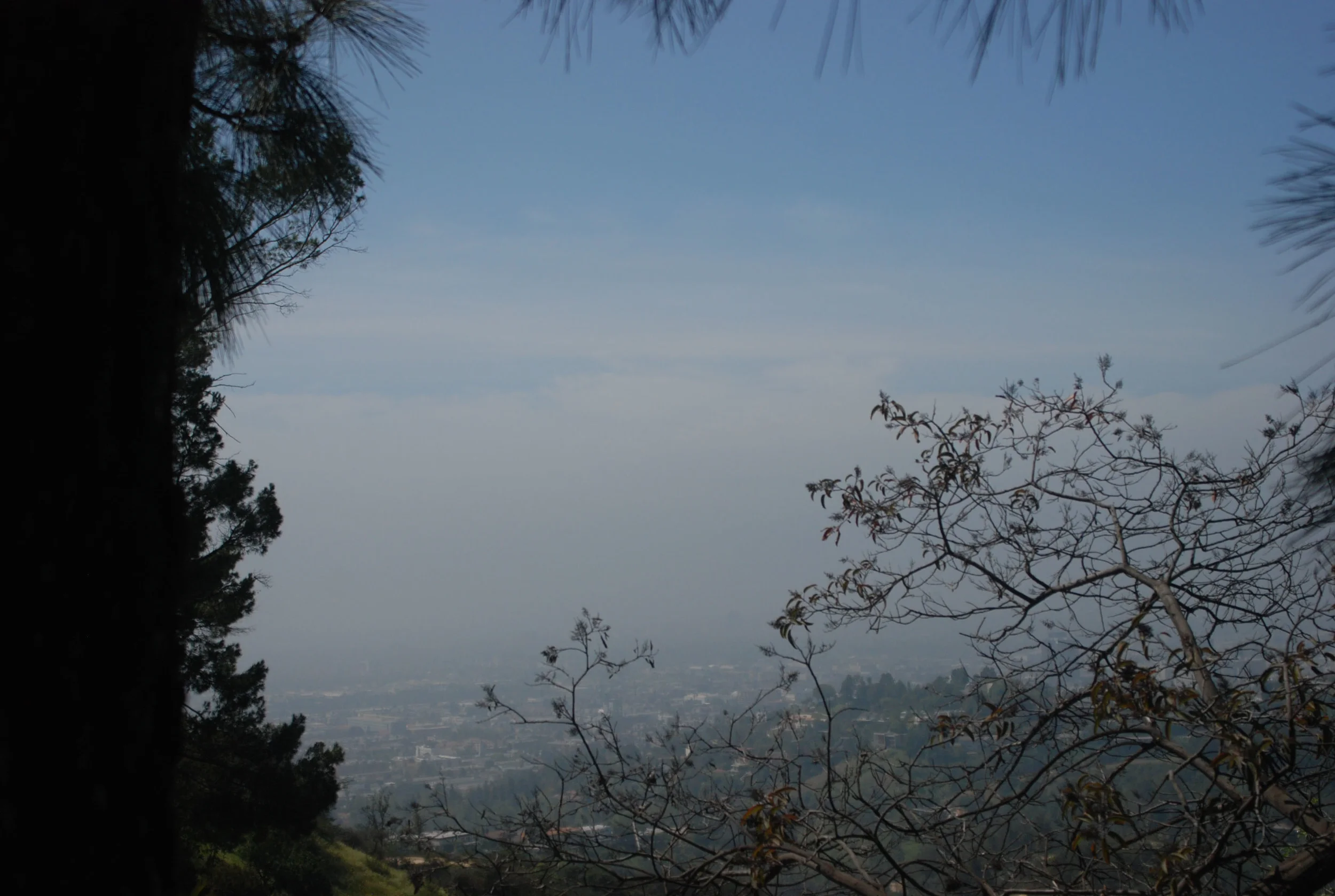 GriffithObservatory_FoliageView.jpg