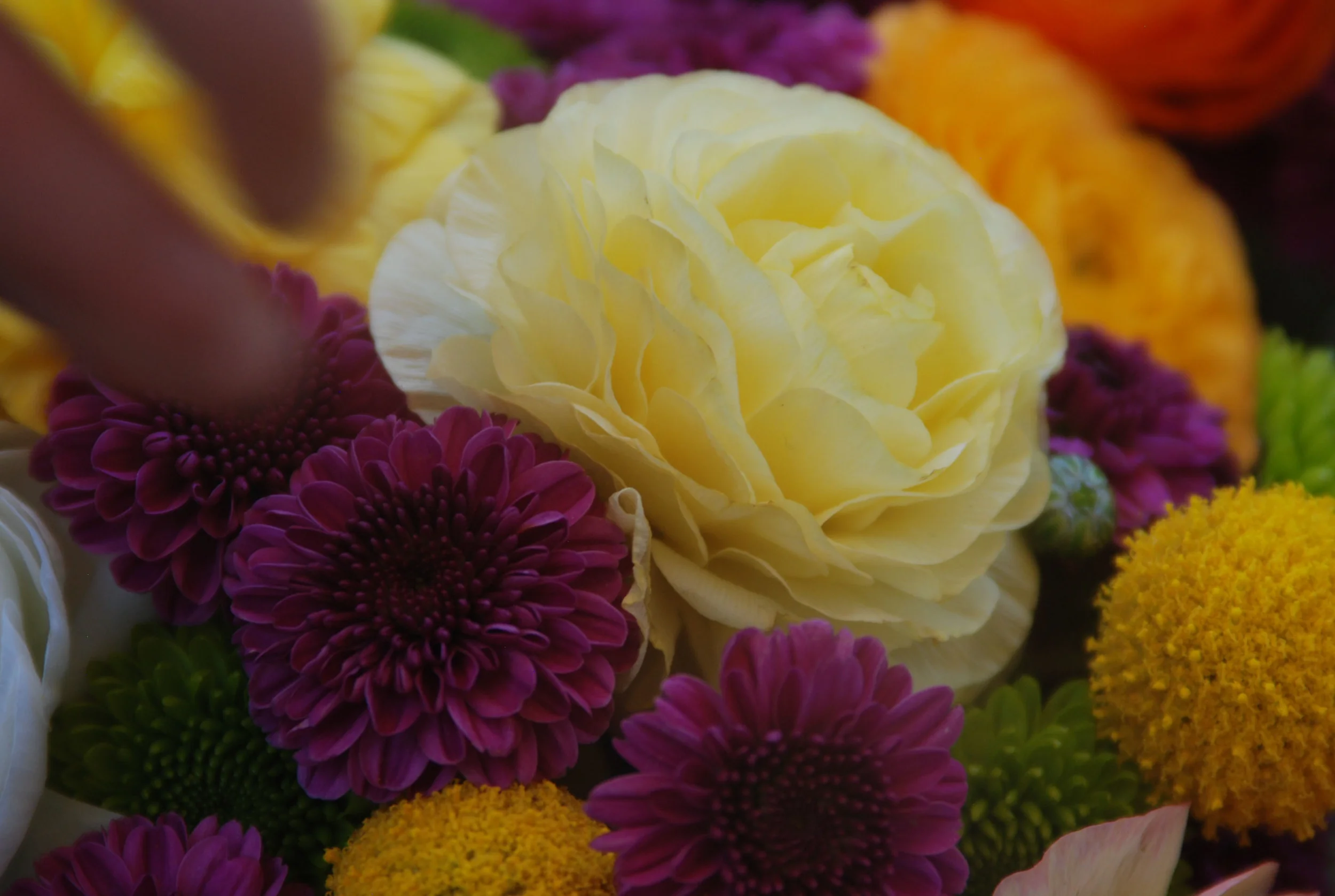 Flowers Close-up.jpg