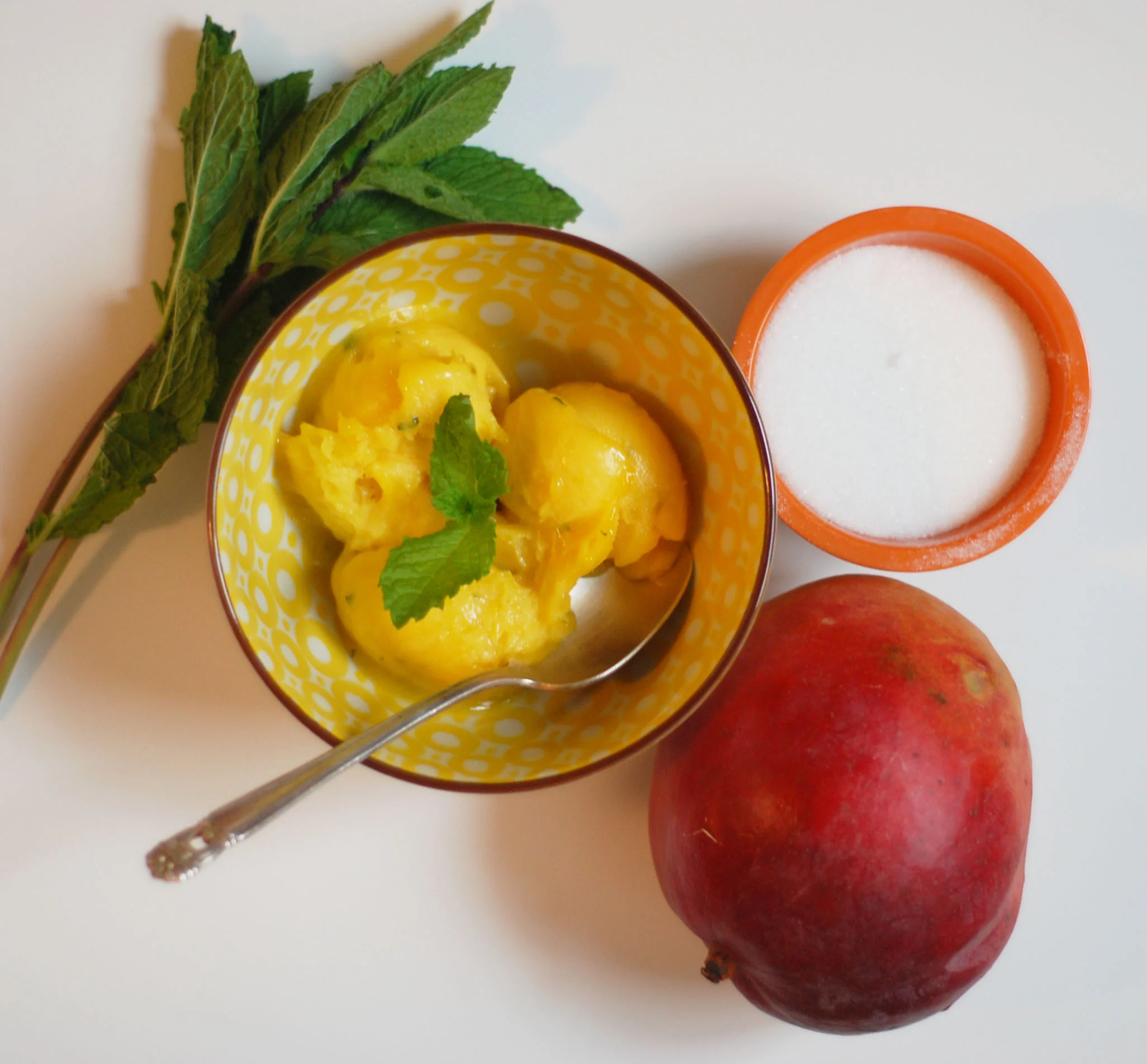 MangoSorbetIngredients.jpg