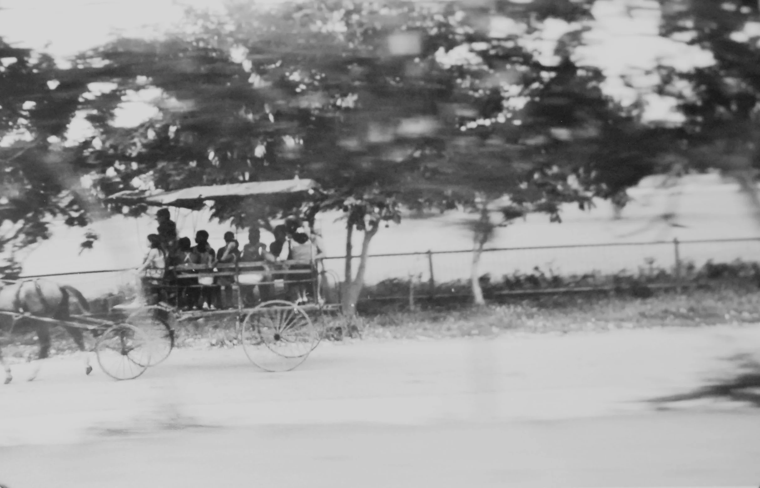 Cuba Traveling by Cart.jpg