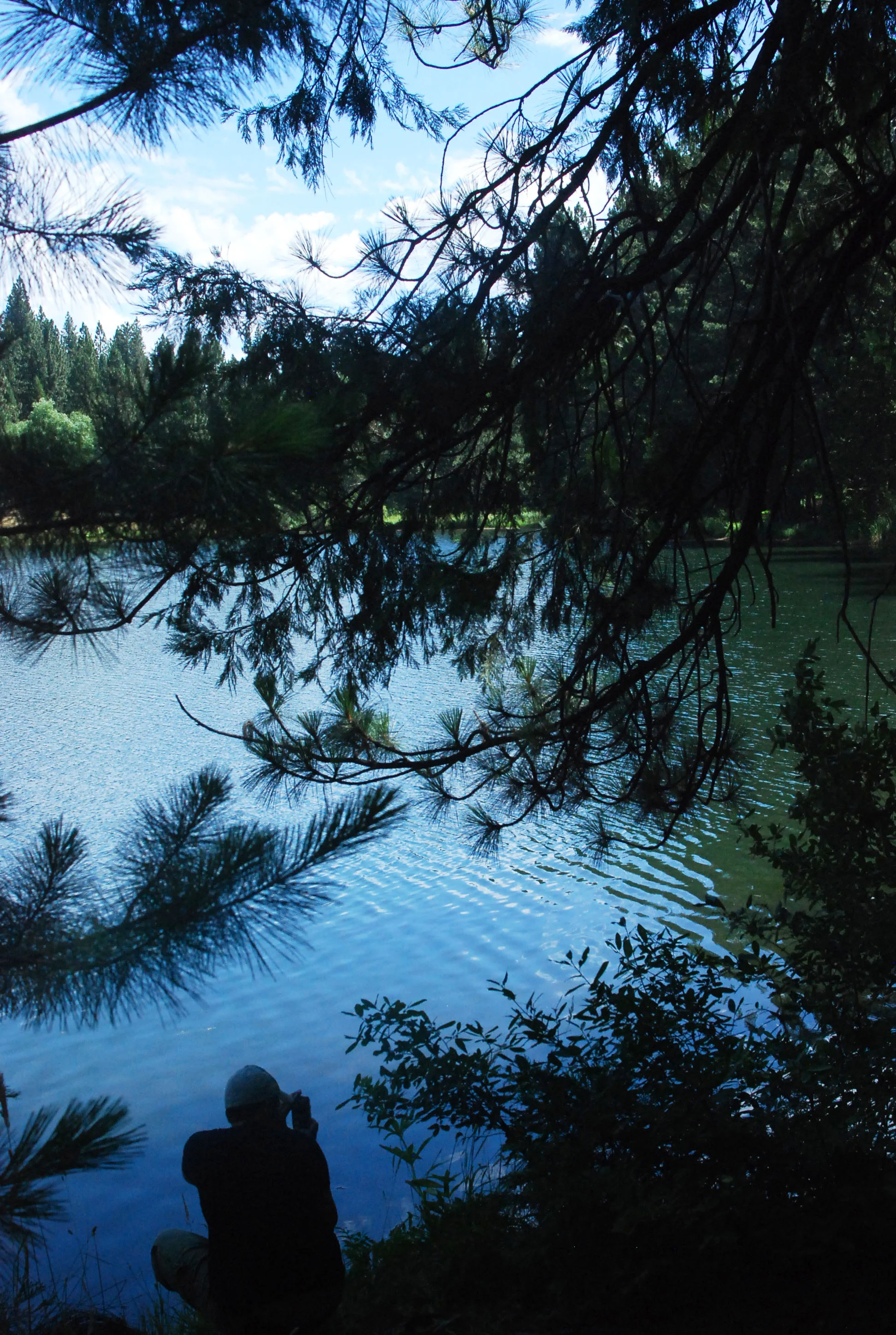 SB Taking Pics by the lake.jpg