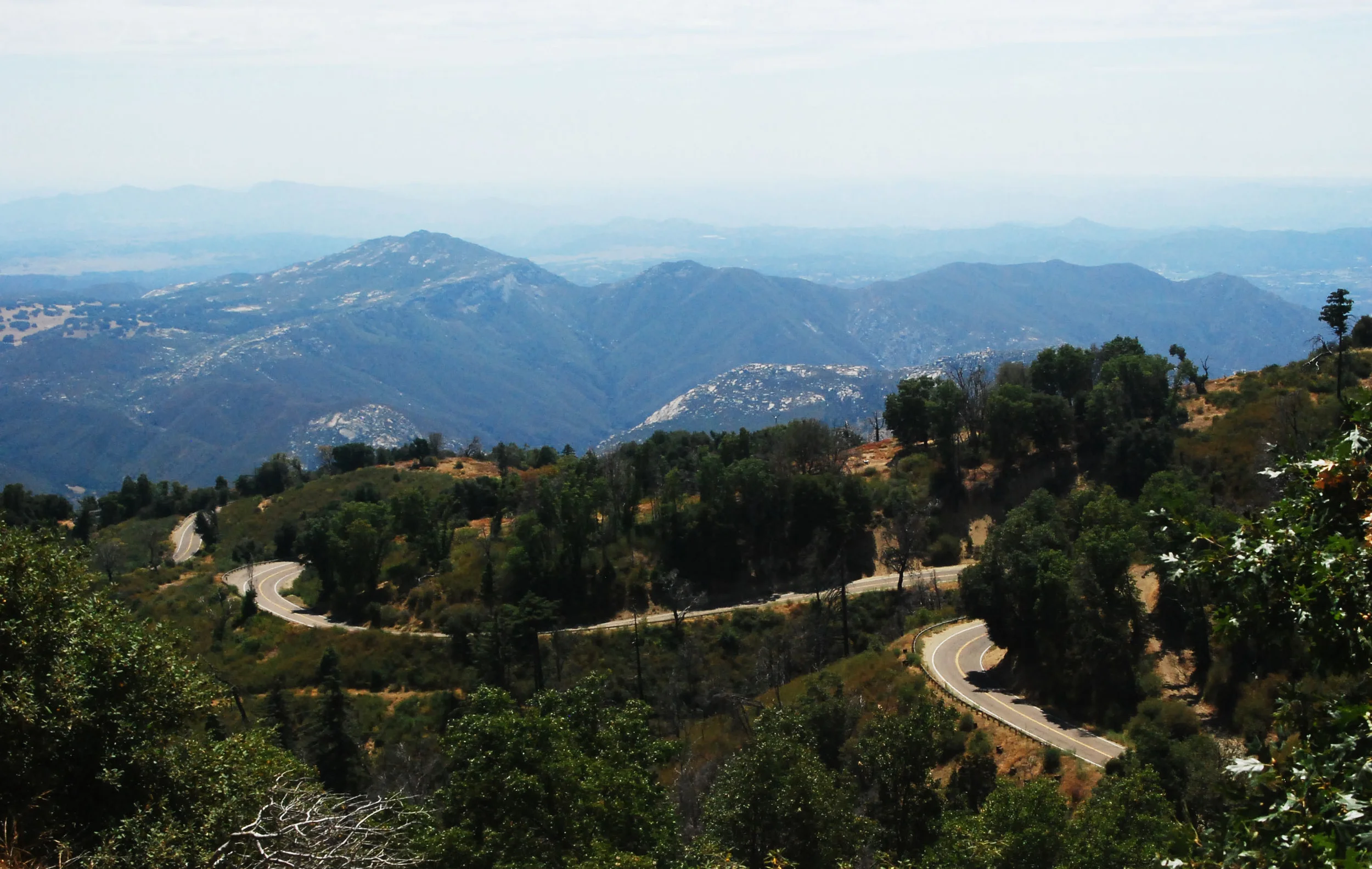 Curves in the Road.jpg