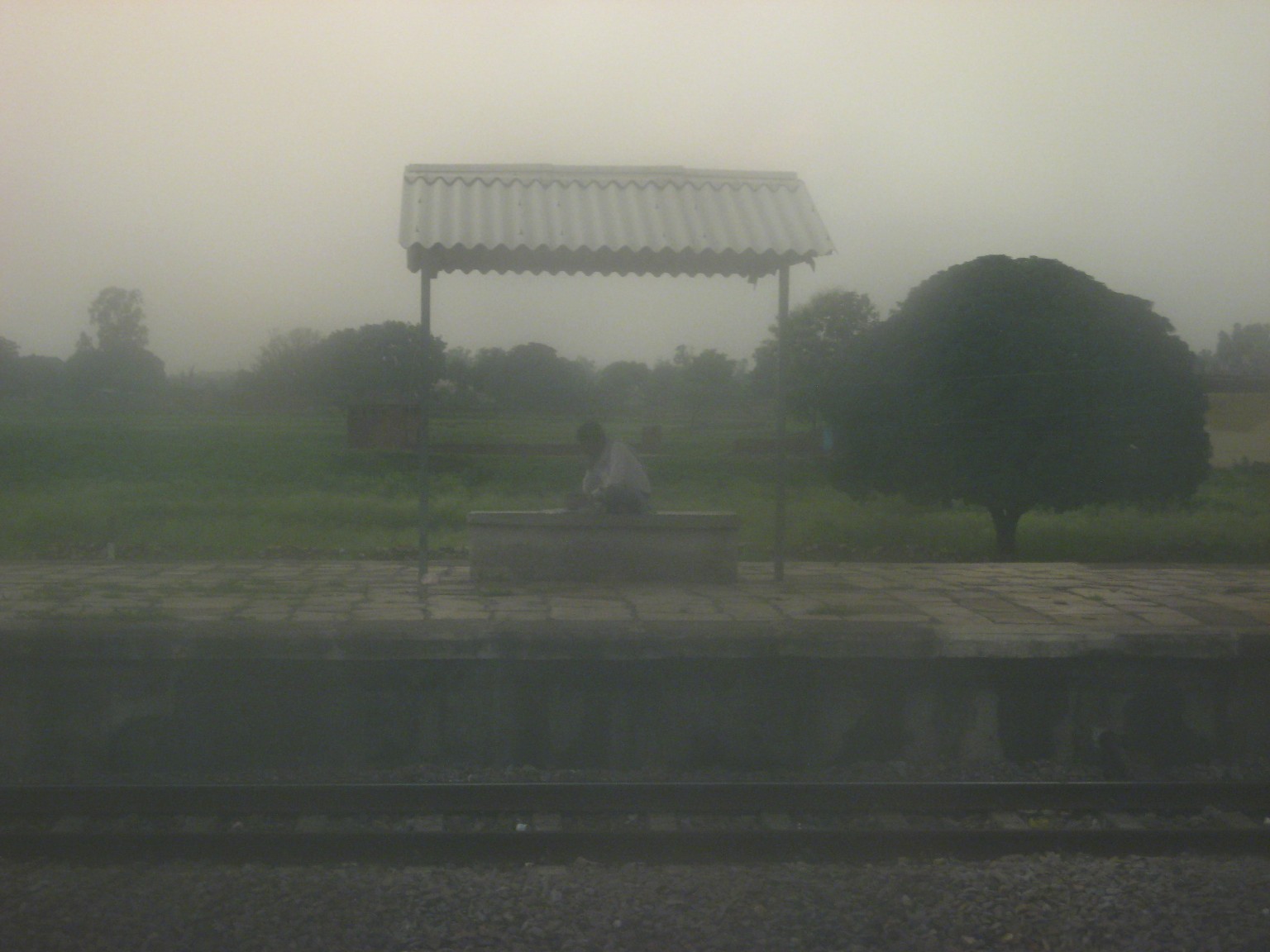 photo_7.jpg